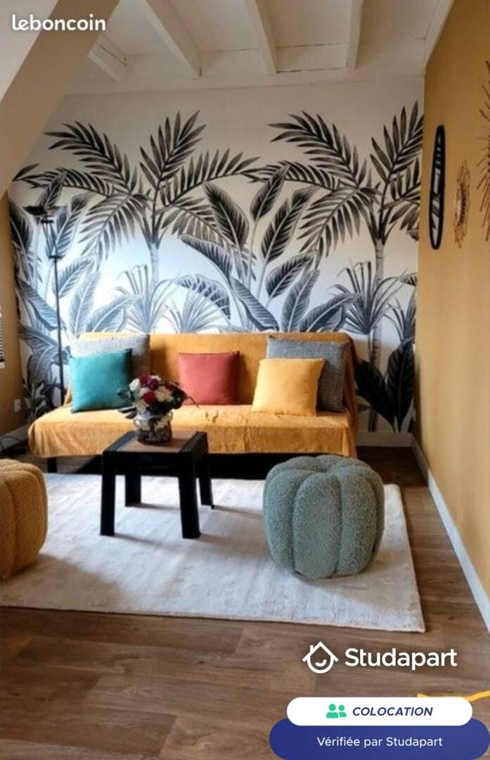 Приватна кімната за оренду для 500 EUR на місяць у Chartres, Rue du Massacre