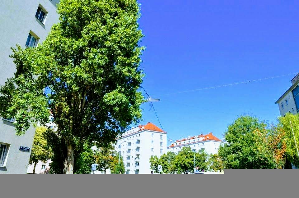 2-Bedroom Apartment in Burghardtgasse, Vienna (1737896) ROOM 2