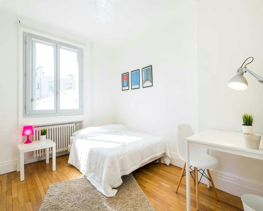 Private room in Rue Quivogne, Lyon (1738305) ROOM