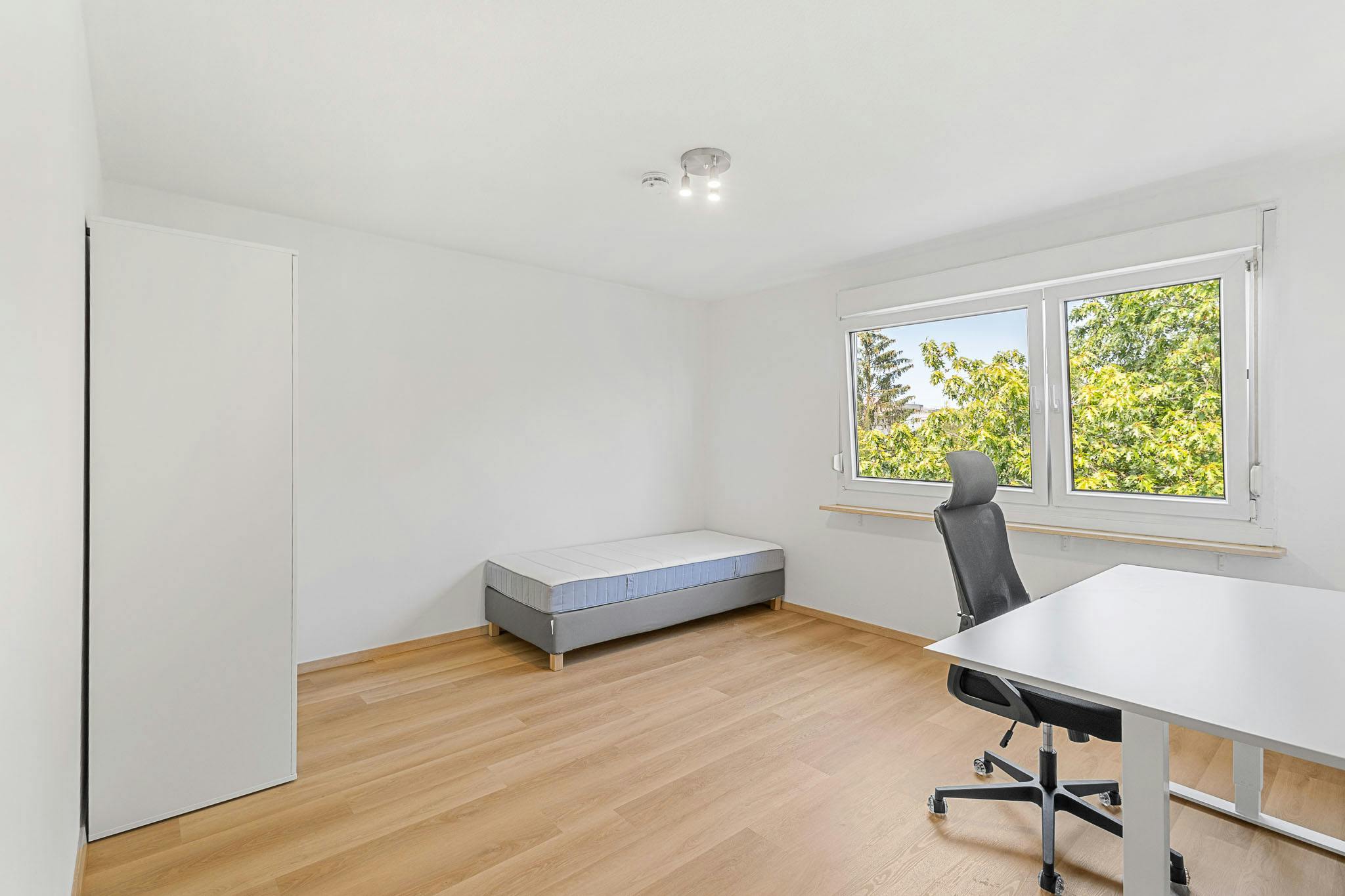 共用房间 正在以 €390 的月租出租，其位于 Regensburg, Würmstraße