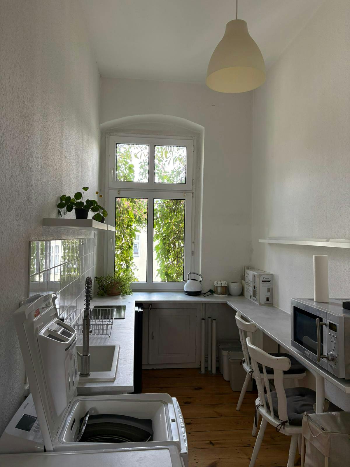 Image #7
