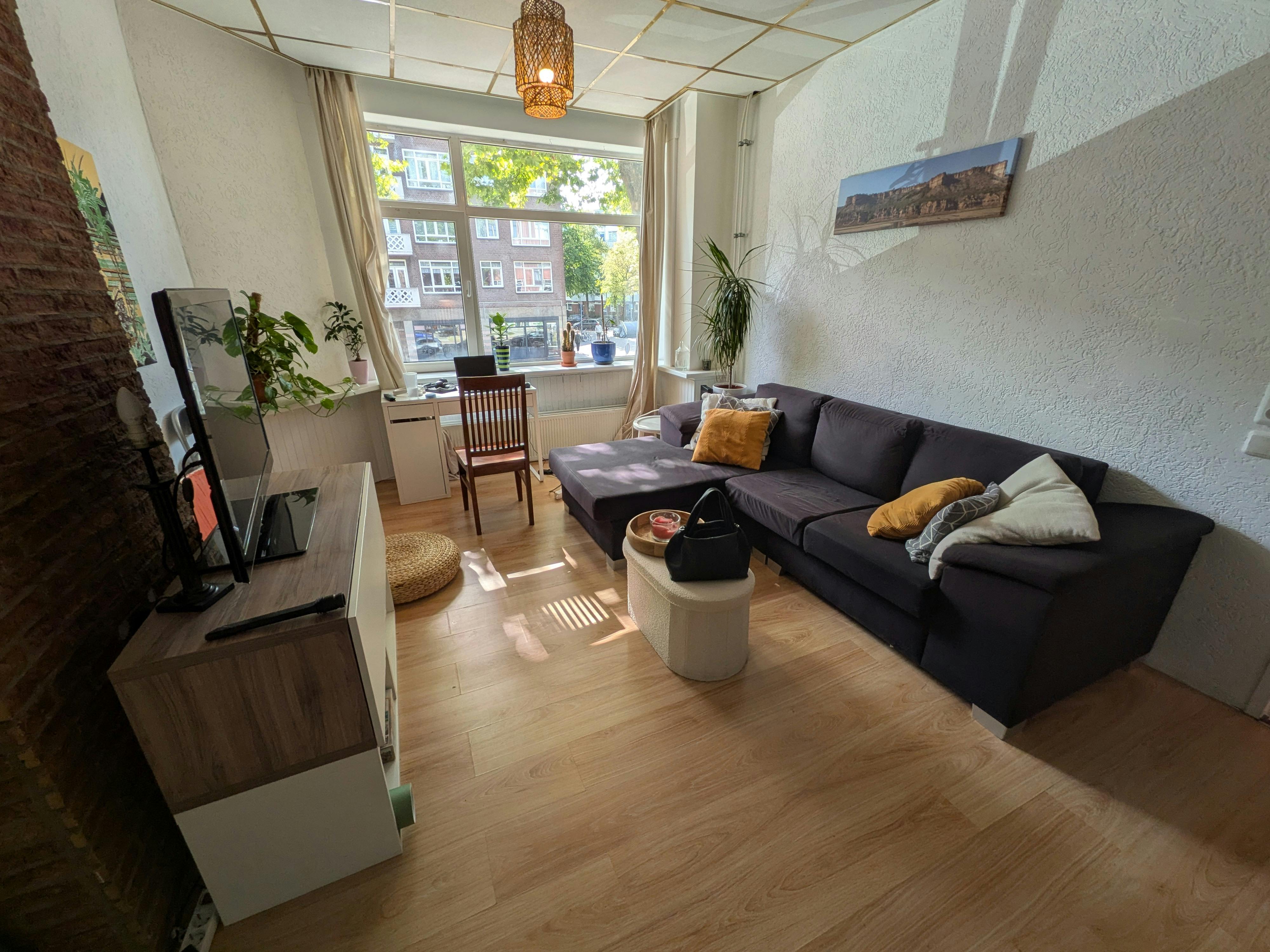 1-Bedroom Apartment in Mathenesserweg, Rotterdam (1738604) ROOM