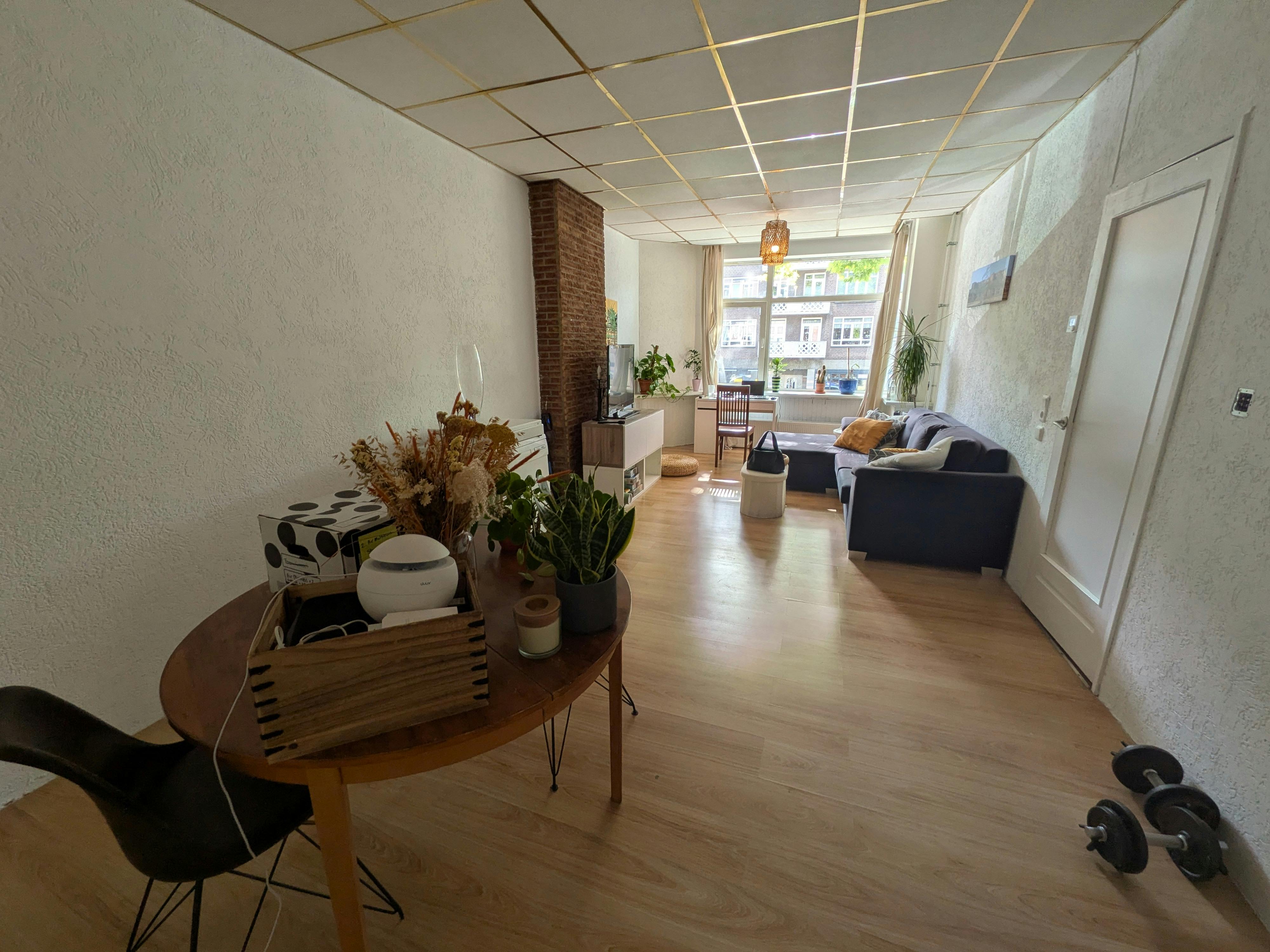 1-Bedroom Apartment in Mathenesserweg, Rotterdam (1738604) ROOM 2