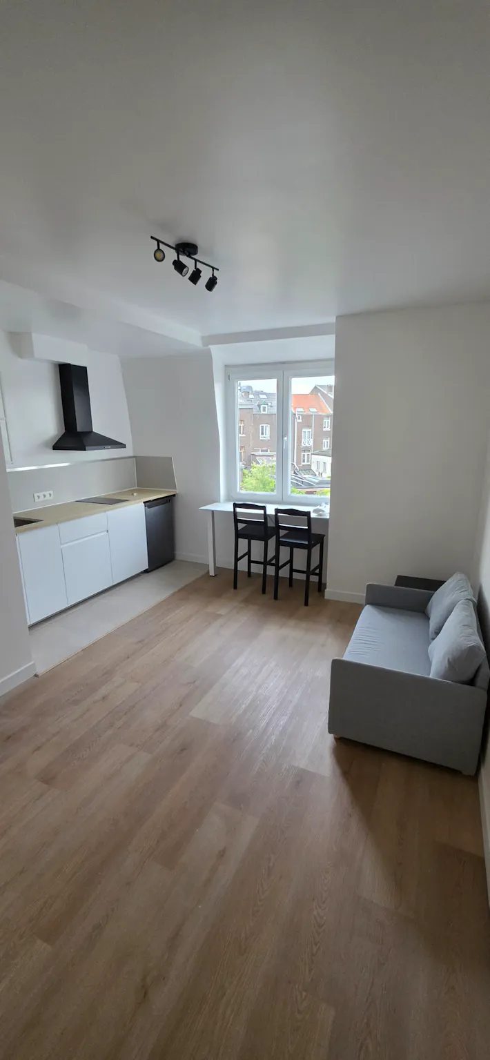 1-Bedroom Apartment in Rue Vivegnis, Liège (1738866) ROOM 3