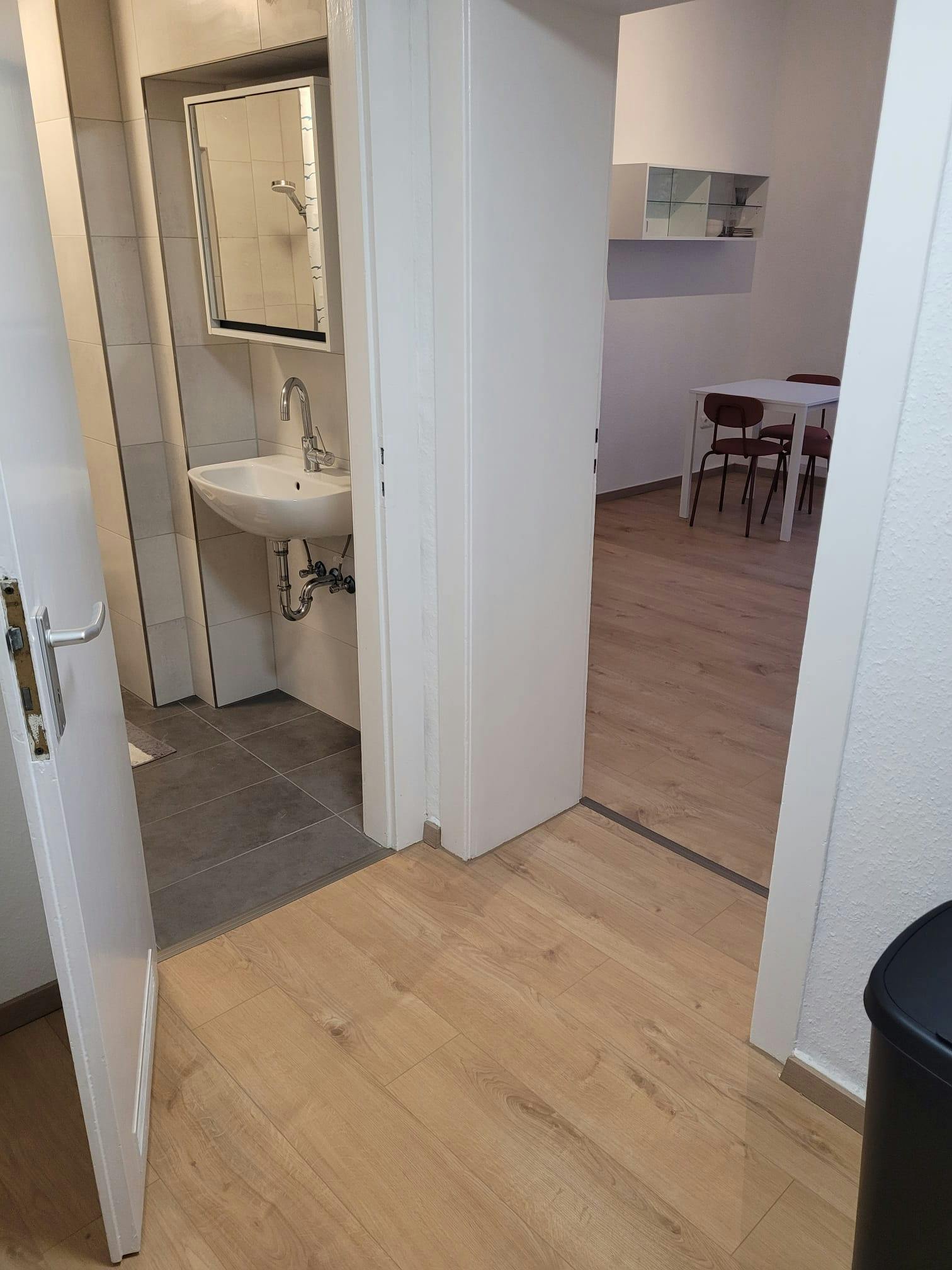 1-Bedroom Apartment in Krausstraße, Essen (1738885) room image 8