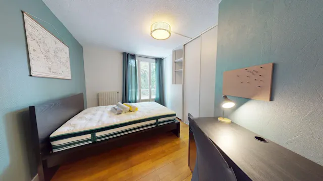 Private room in Rue Saint-Ferjus, Grenoble (1739299) room image 2