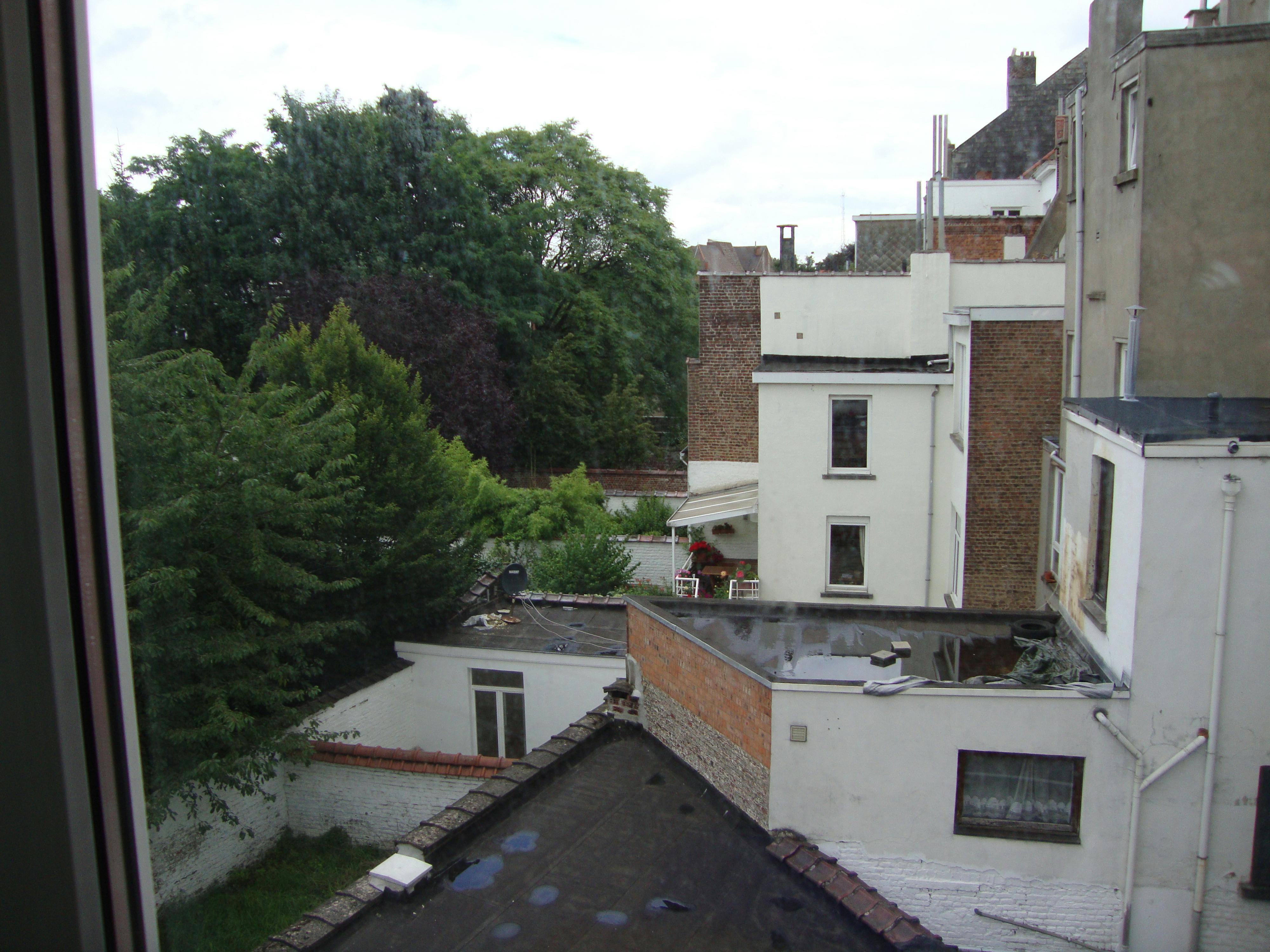 Image #8