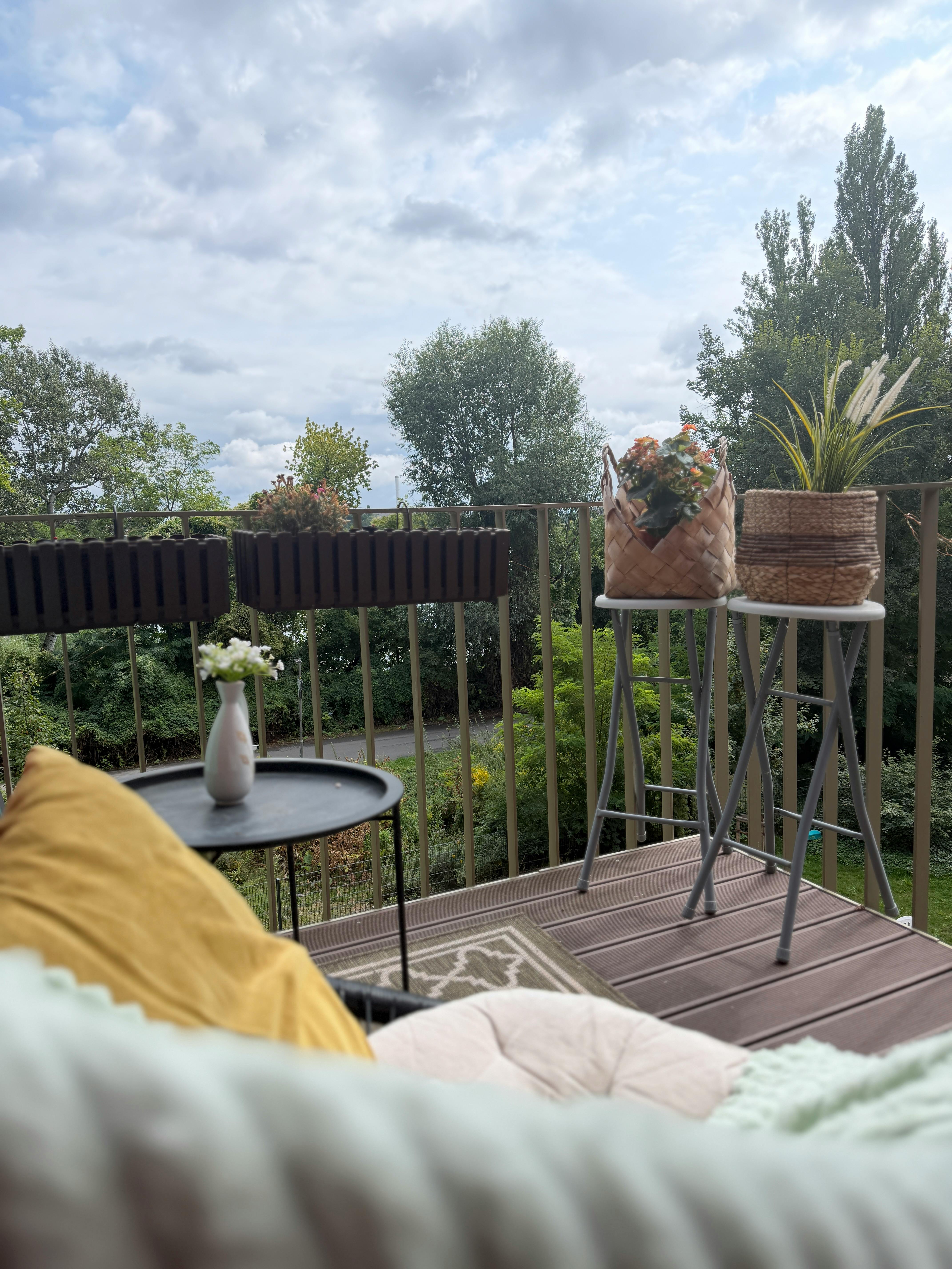 An der Mole, Berlin preview