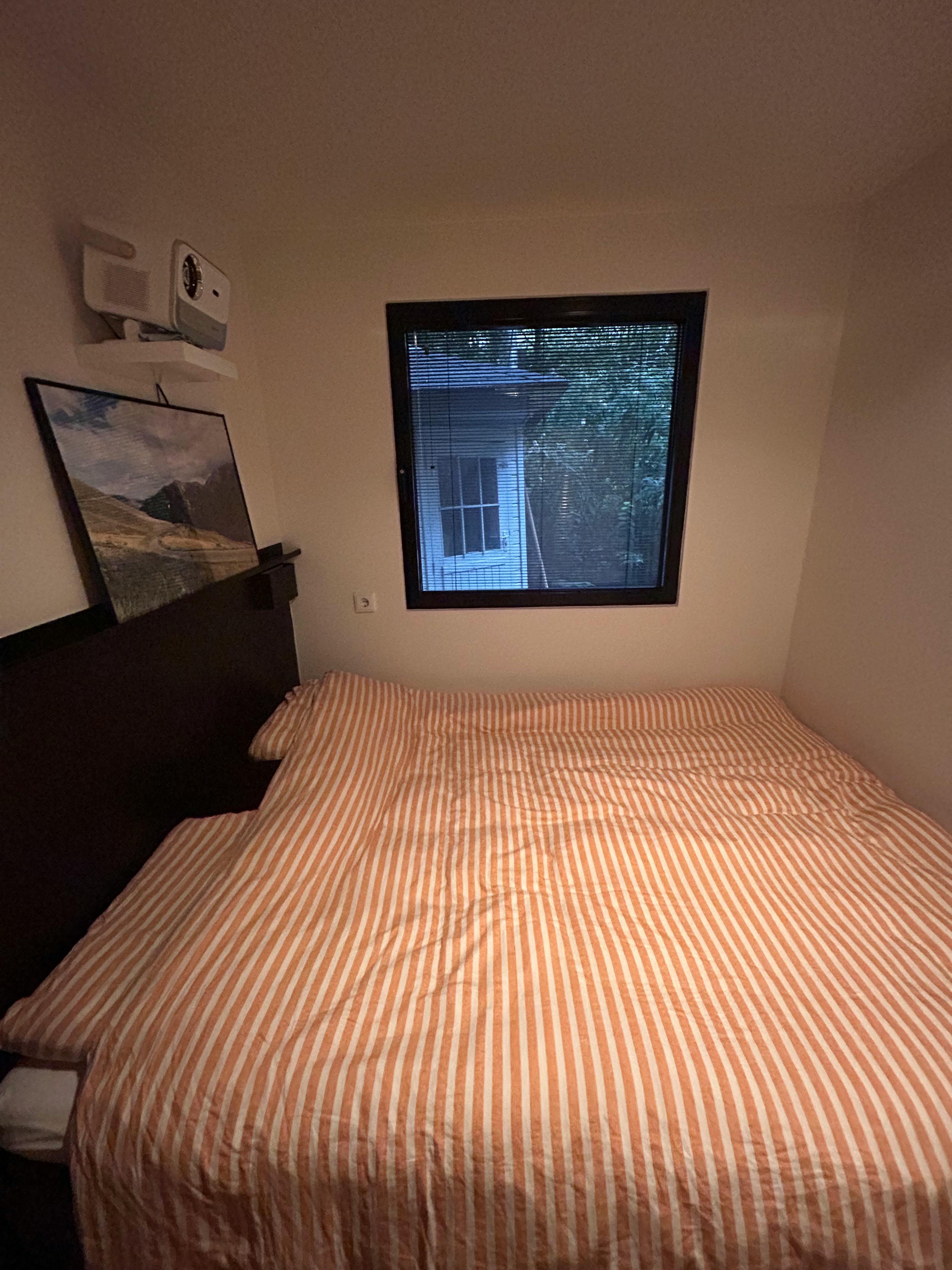 2-Bedroom Apartment in Swammerdamstraat, Amsterdam (1740537) ROOM 4