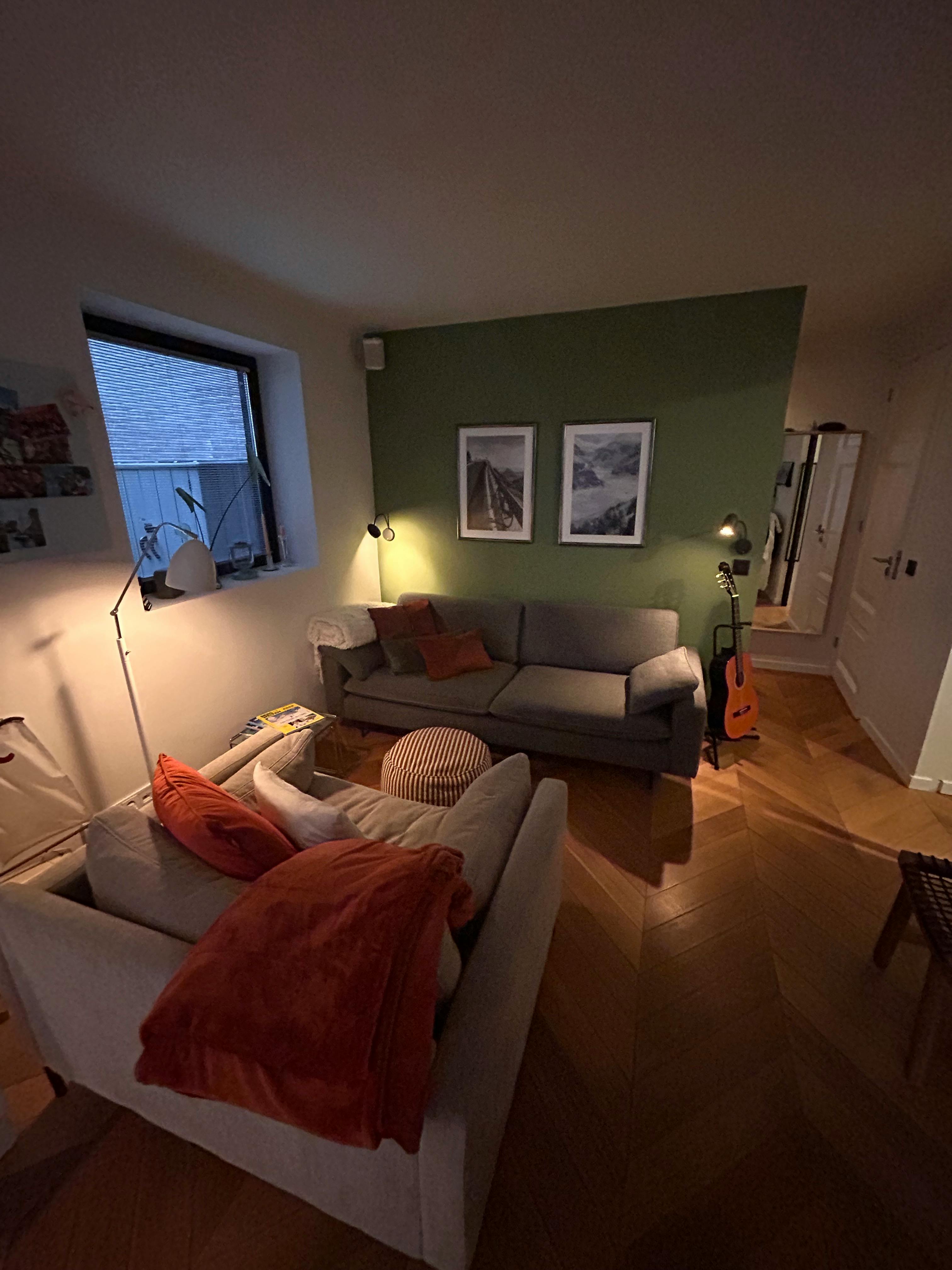 2-Bedroom Apartment in Swammerdamstraat, Amsterdam (1740537) ROOM 1