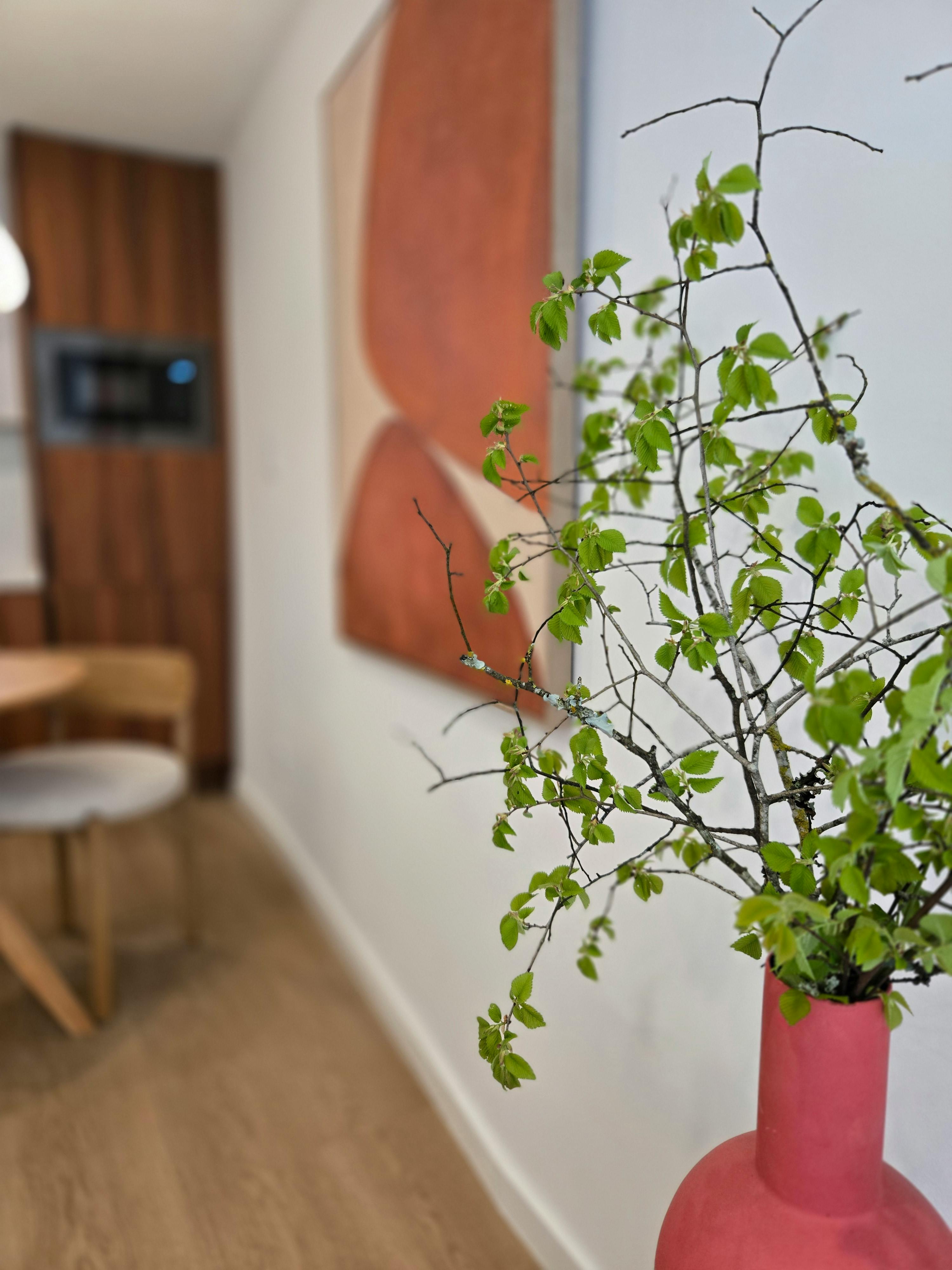 1-Bedroom House in Travessa das Florindas, Lisbon (1740684) ROOM 2