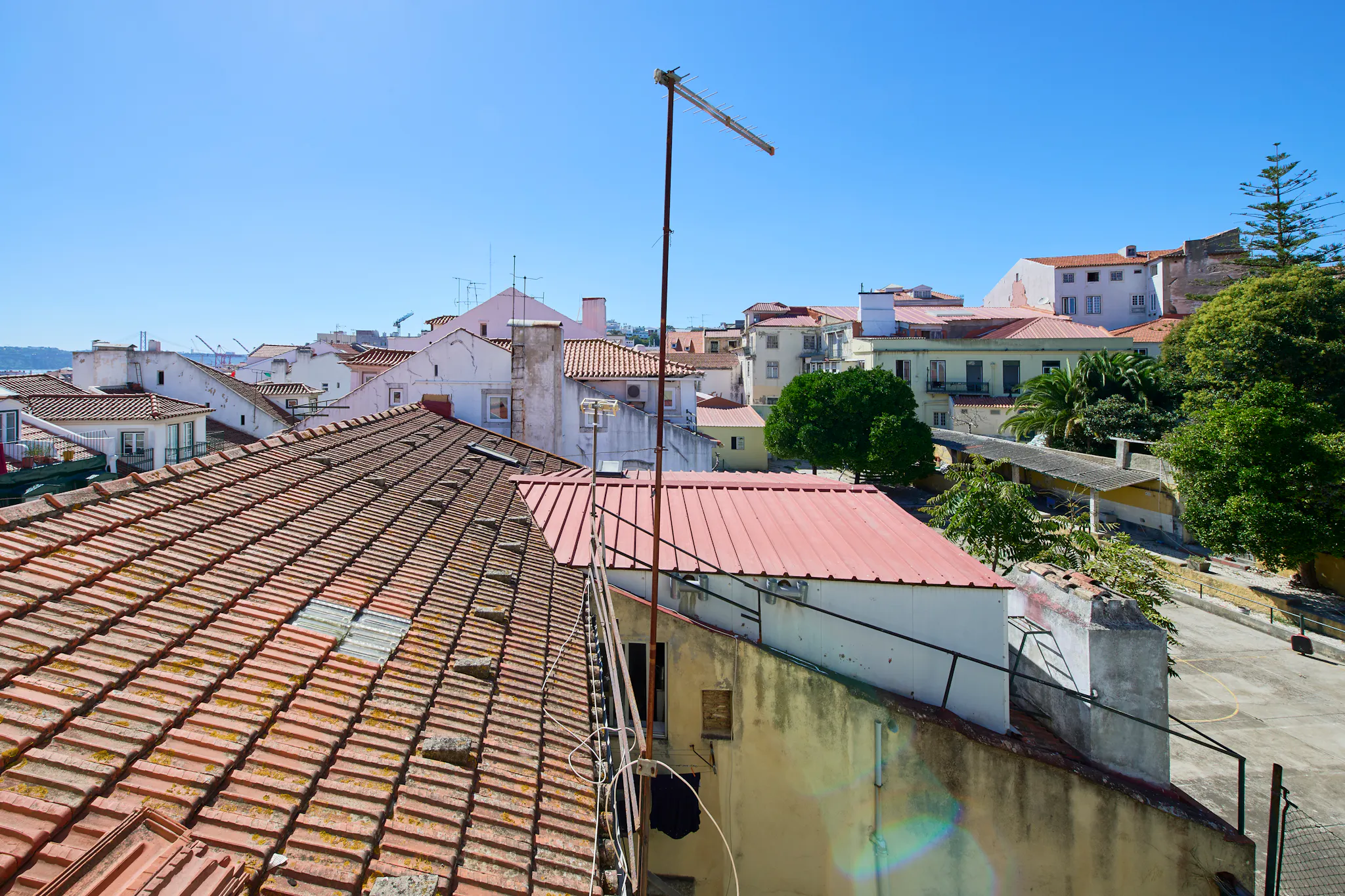 Image #9