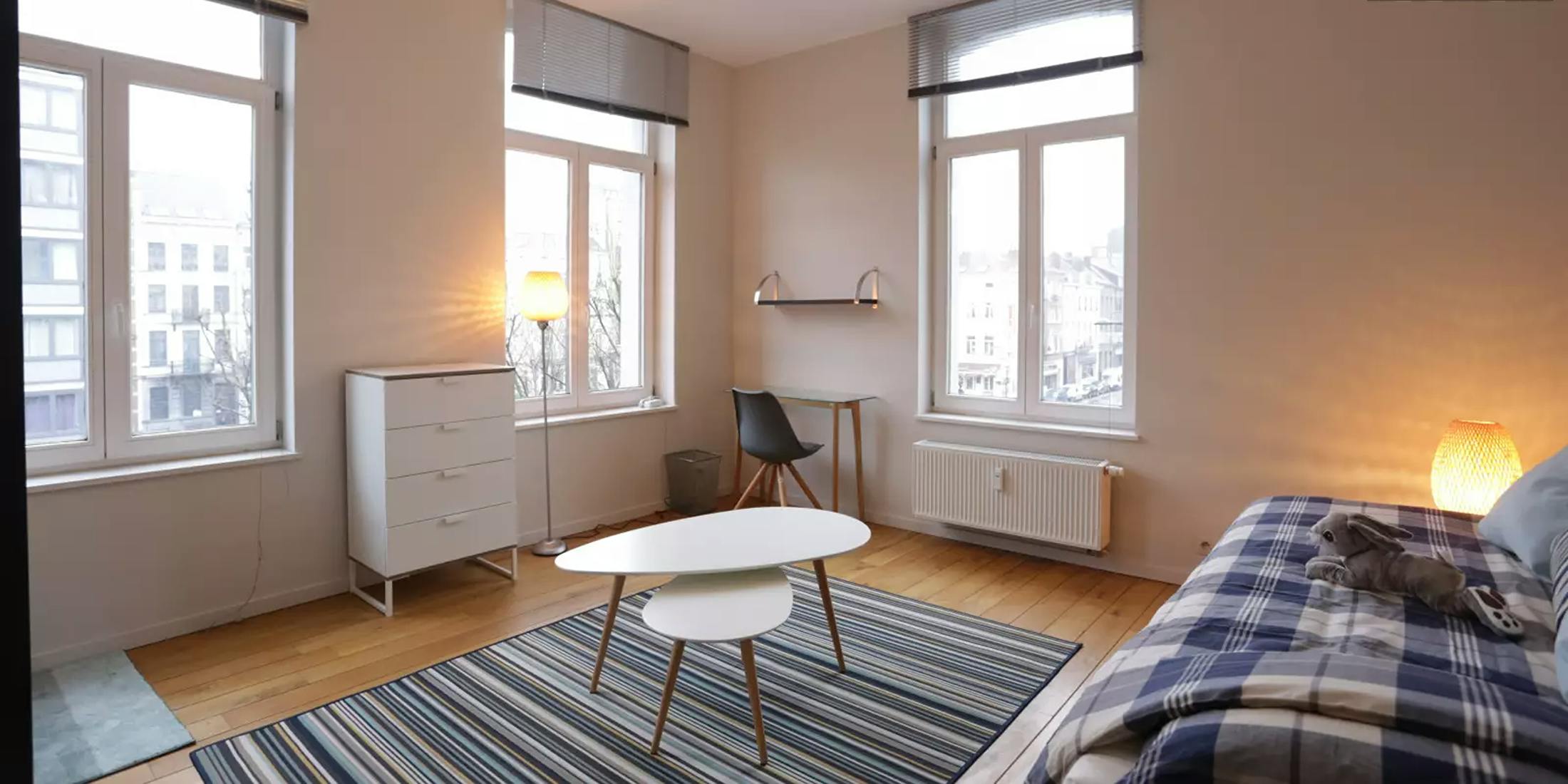 Private room in Place Rouppe, Brussels (1740917) room image 2