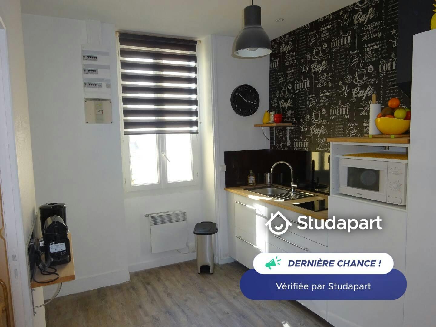 Appartement – Lyon, 7th Arrondissement - Vue 3