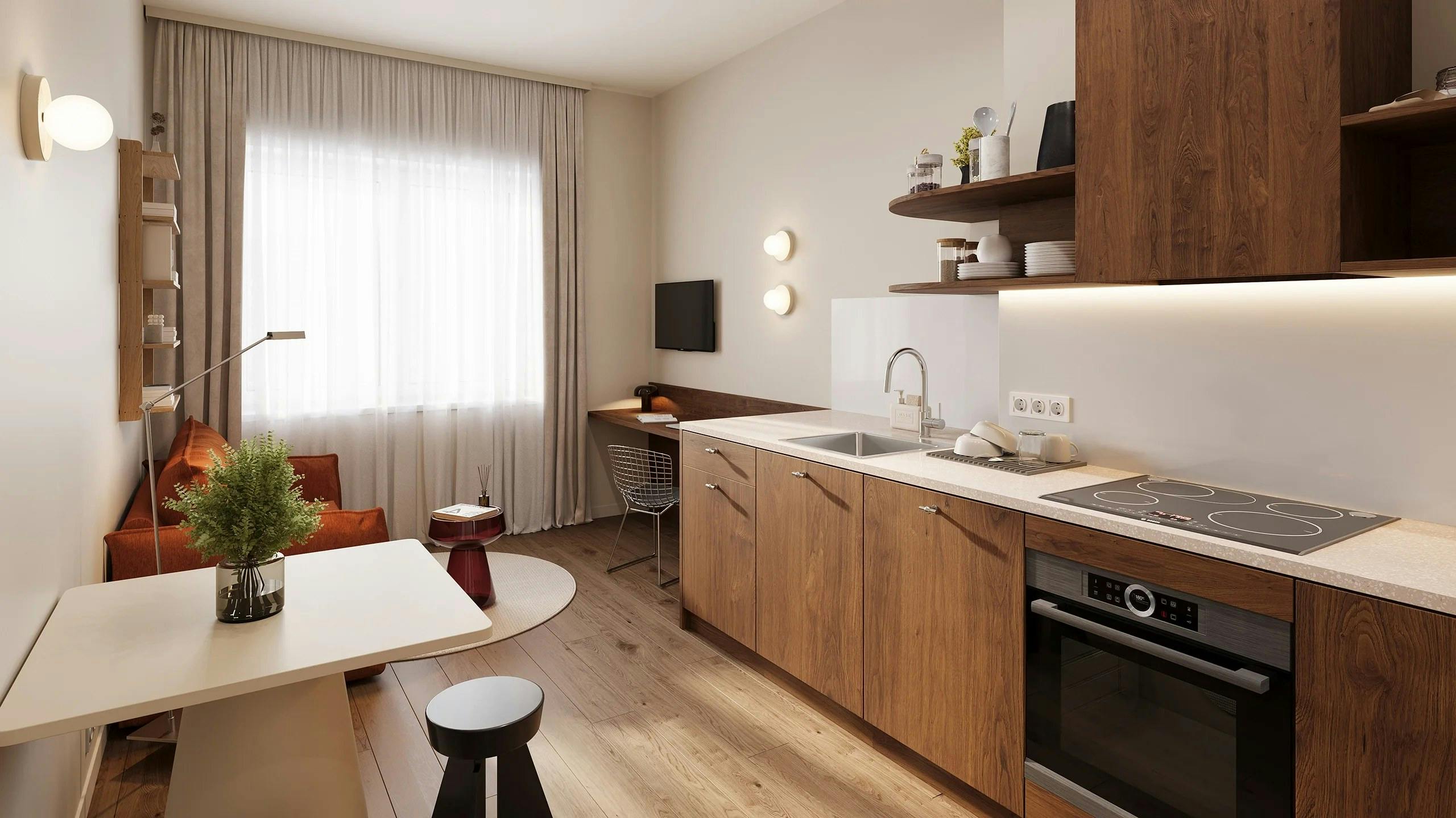 1-Bedroom Apartment in Rue Joseph Dekeyn, Saint-Josse-ten-Noode (1742872) ROOM 1