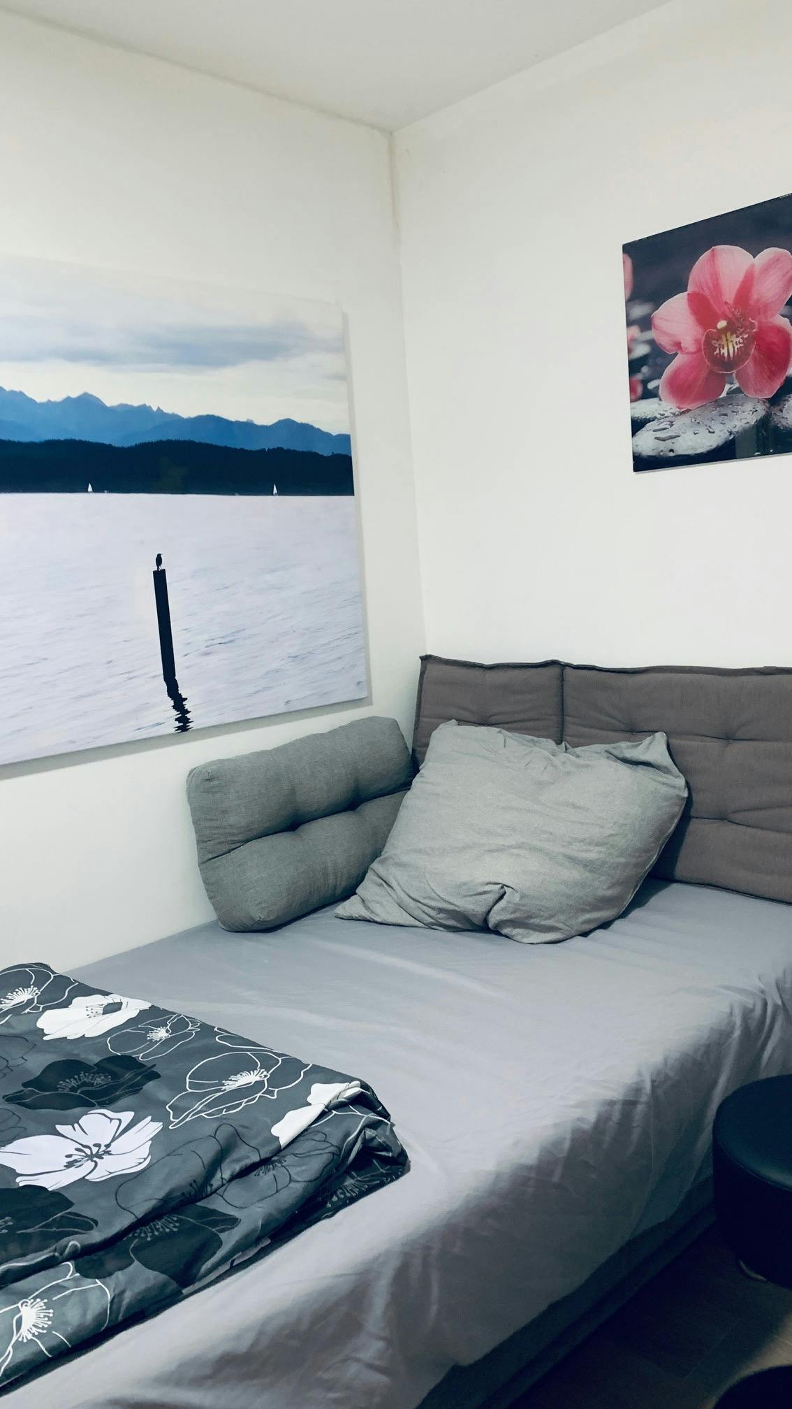 Private room for rent for €600 per month in Munich, Drygalski-Allee