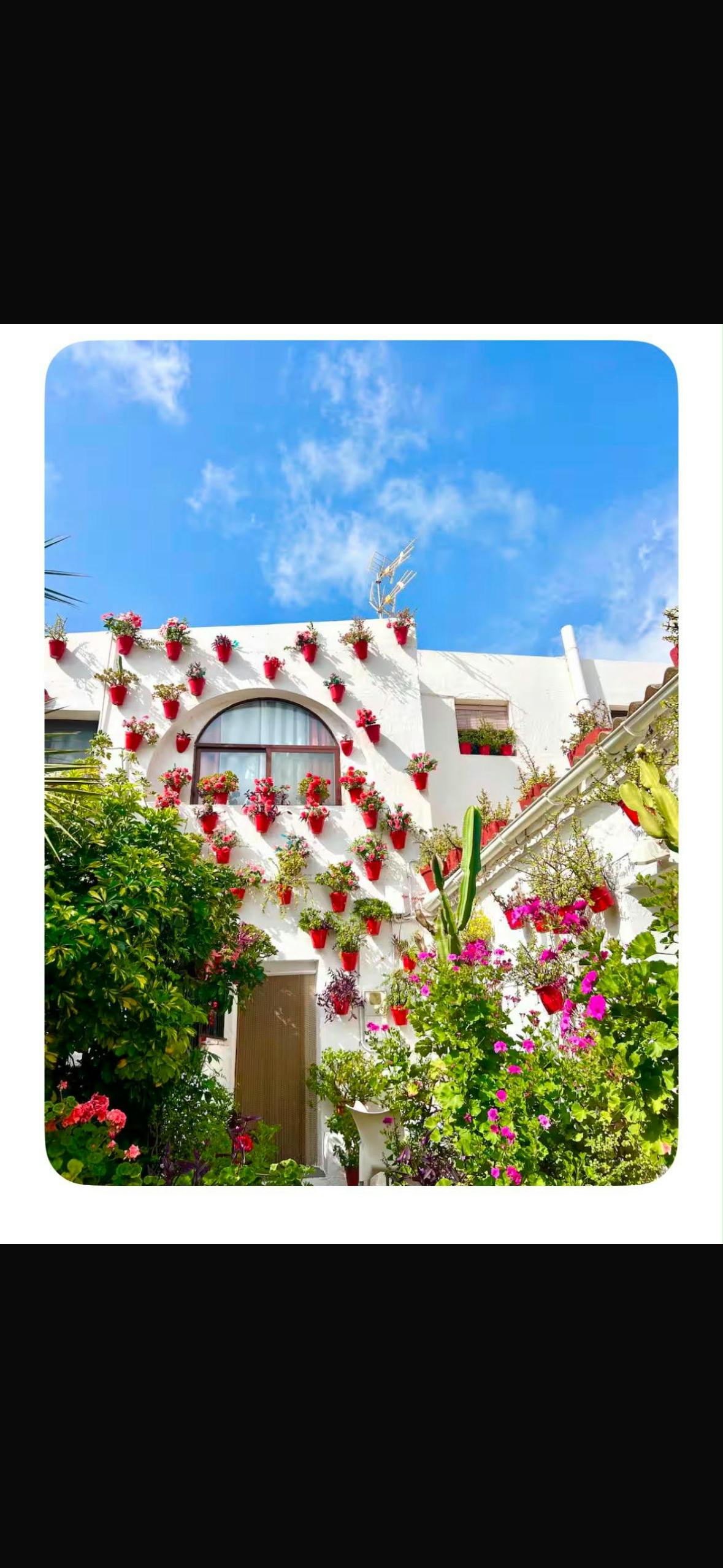 Avenida de Sopalmo, Mojacar preview