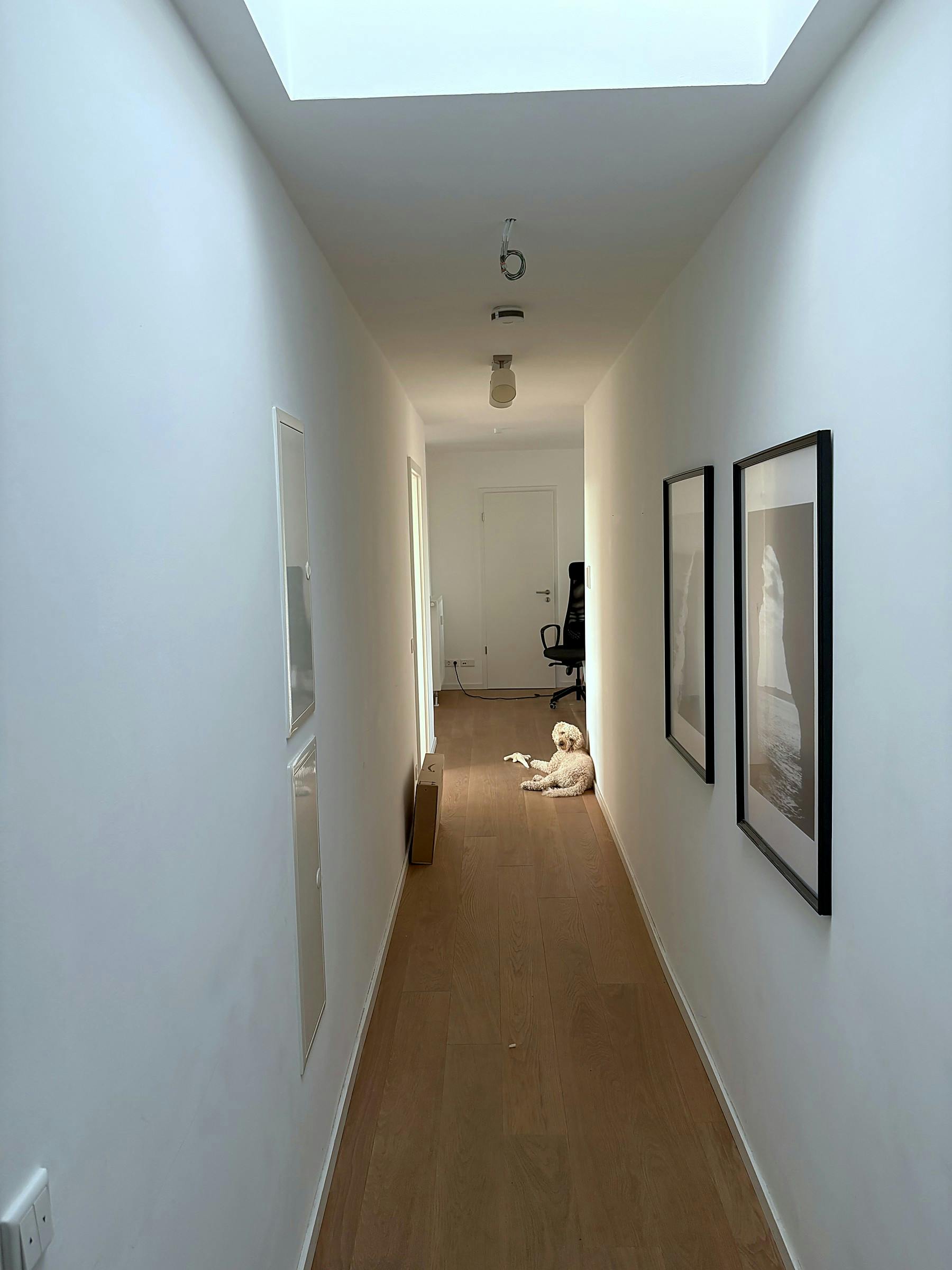 1-Bedroom Apartment in Sonnemannstraße, Frankfurt am Main (1743385) room image 9