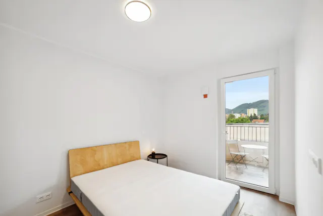 Apartment in Waagner-Biro-Straße, Graz (1743499) room image 1