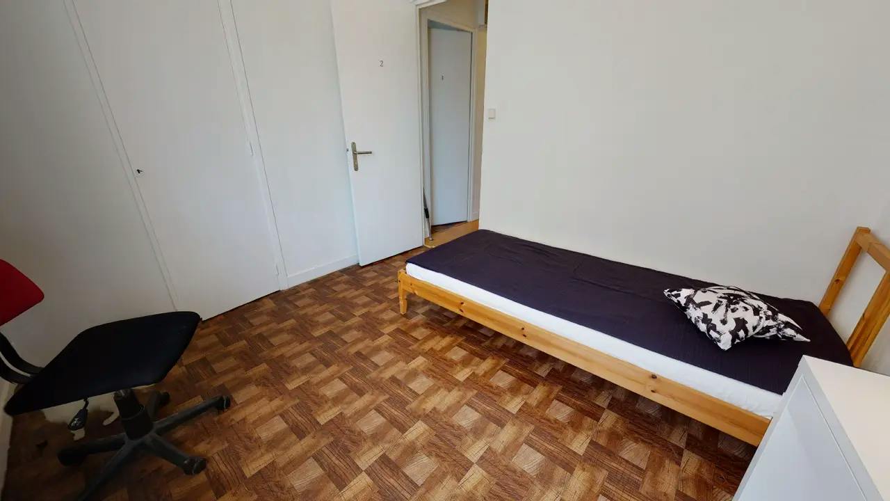 Private room in Cours Émile-Zola, Villeurbanne (1744400) room image 2