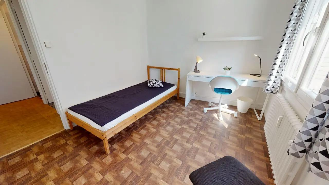 Private room in Cours Émile-Zola, Villeurbanne (1744400) room image 1