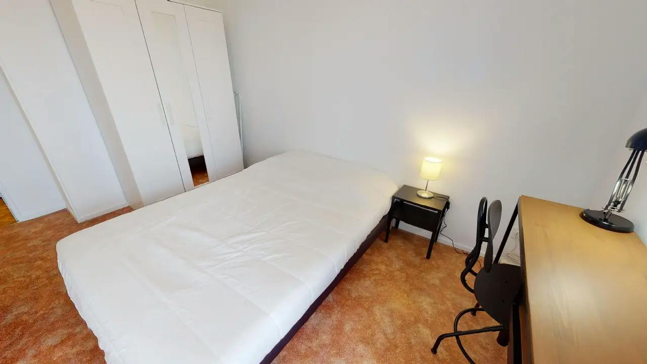 Private room in Rue du 1er Mars 1943, Villeurbanne (1744401) ROOM 2