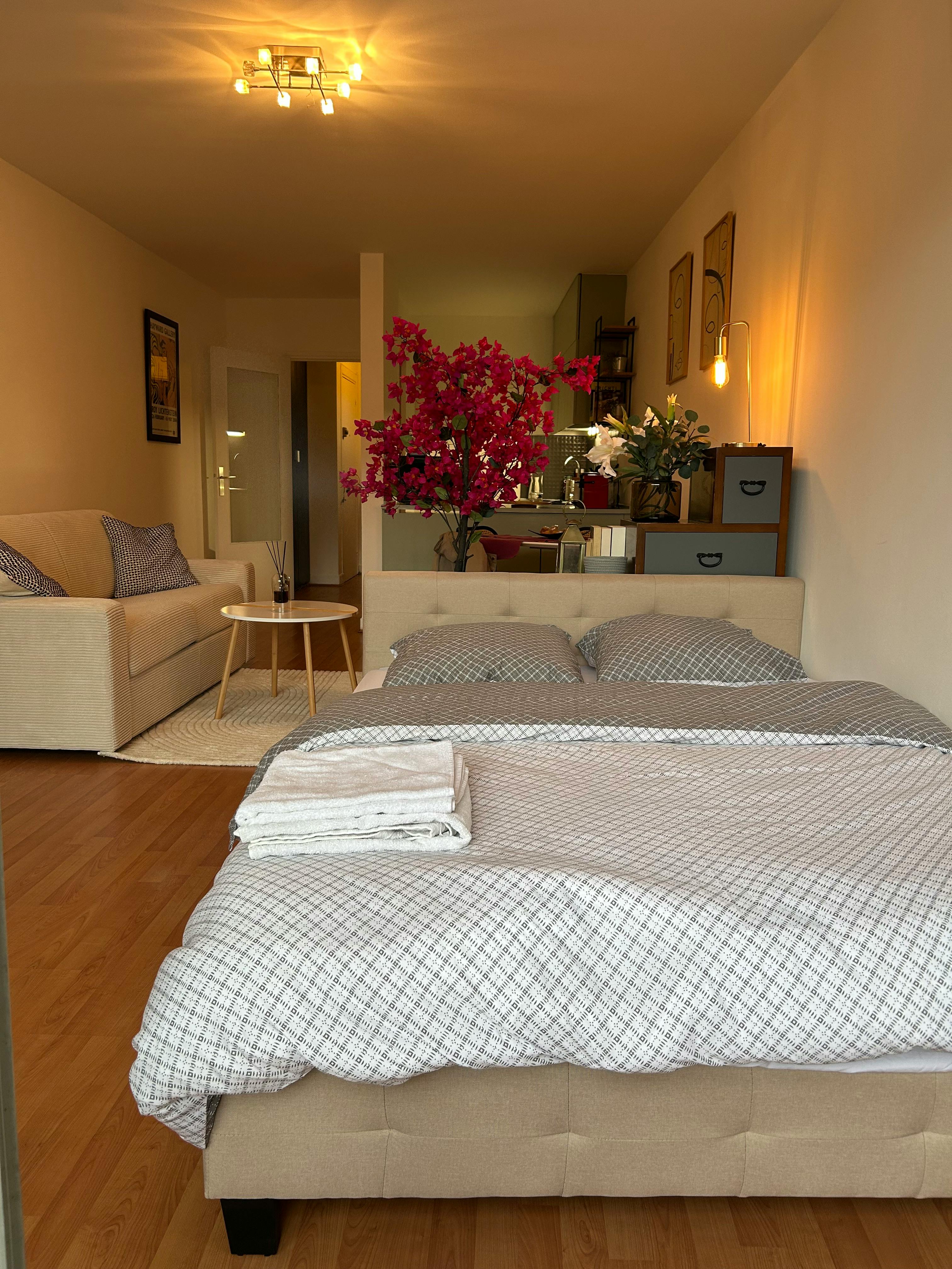 Apartment in Rue d'Assas, Paris (1744512) ROOM 2