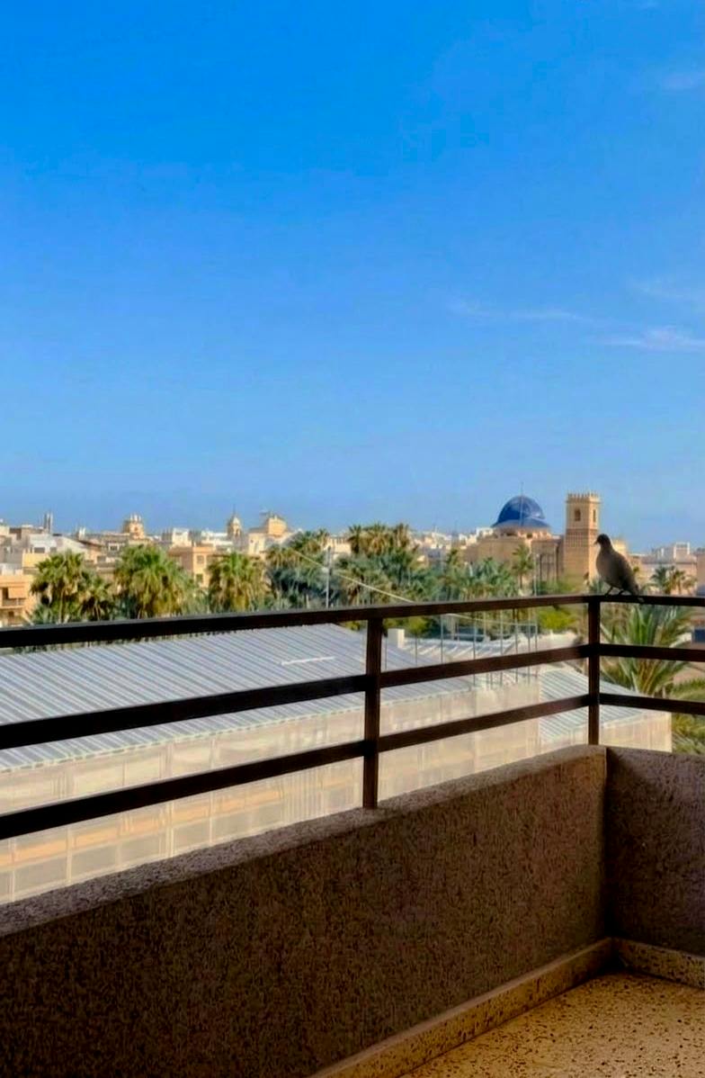 Private room for rent for €300 per month in Elche, Carrer Clara Campoamor