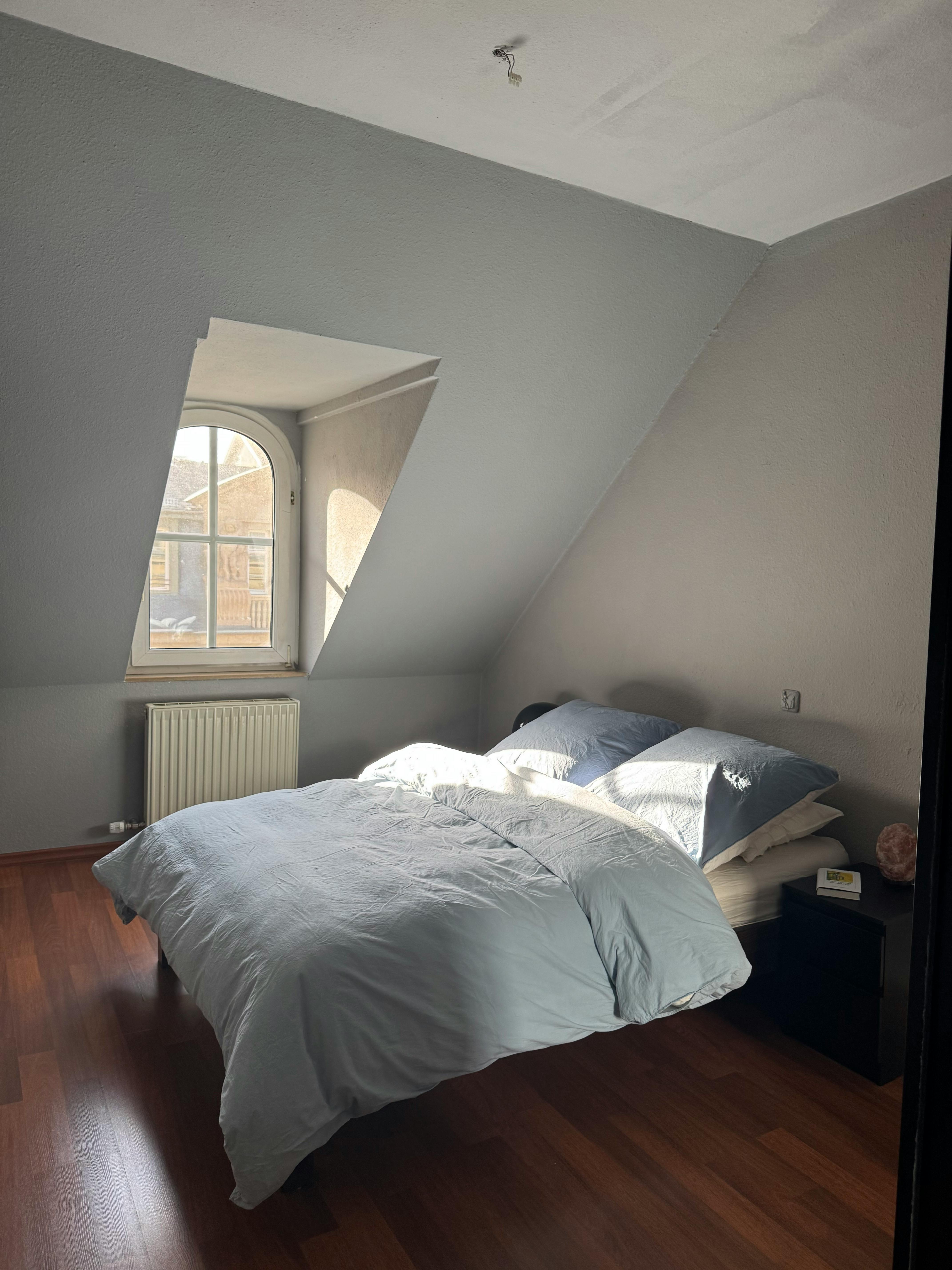 1-Bedroom Apartment in Wilhelm-Leuschner-Straße, Frankfurt am Main (1744837) ROOM 1