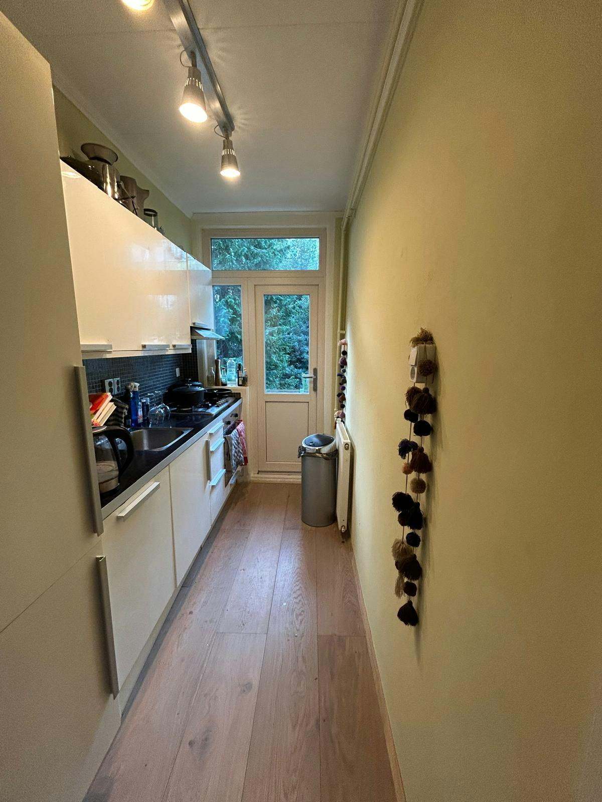 1-Bedroom Apartment in Joos de Moorstraat, Amsterdam (1746034) ROOM 2