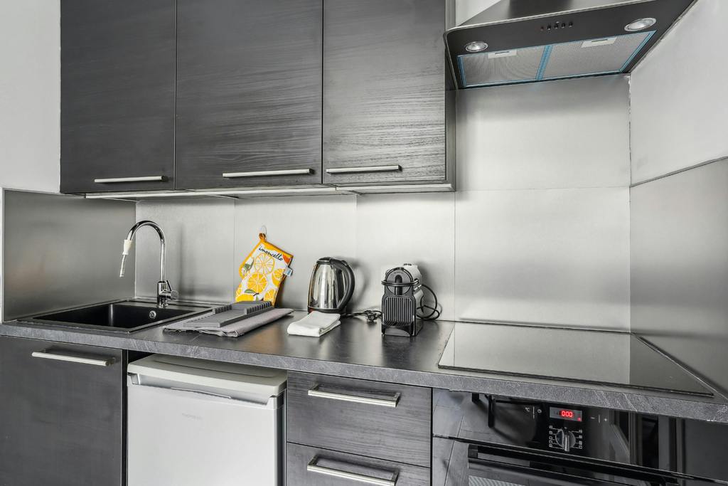 1-Bedroom Apartment in Rue du Cambodge, Paris (1746265) ROOM 4