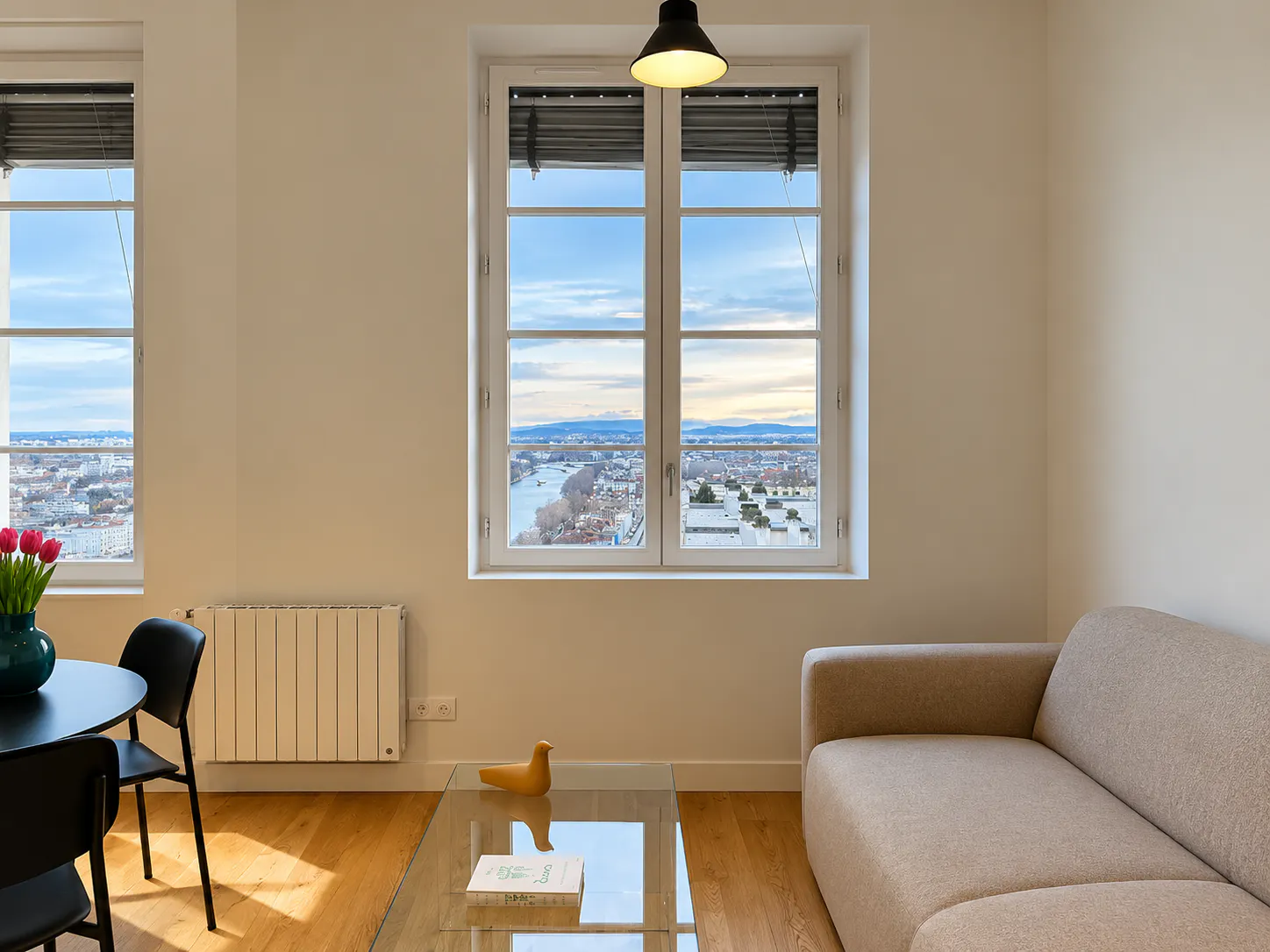 1-Bedroom Apartment in Rue Justin Godart, Lyon (1746302) ROOM 3