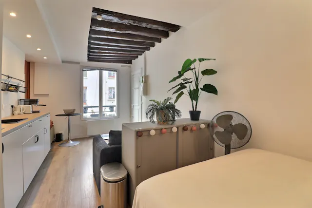 1-Bedroom Apartment in Rue de l'Agent Bailly, Paris (1746305) room image 2