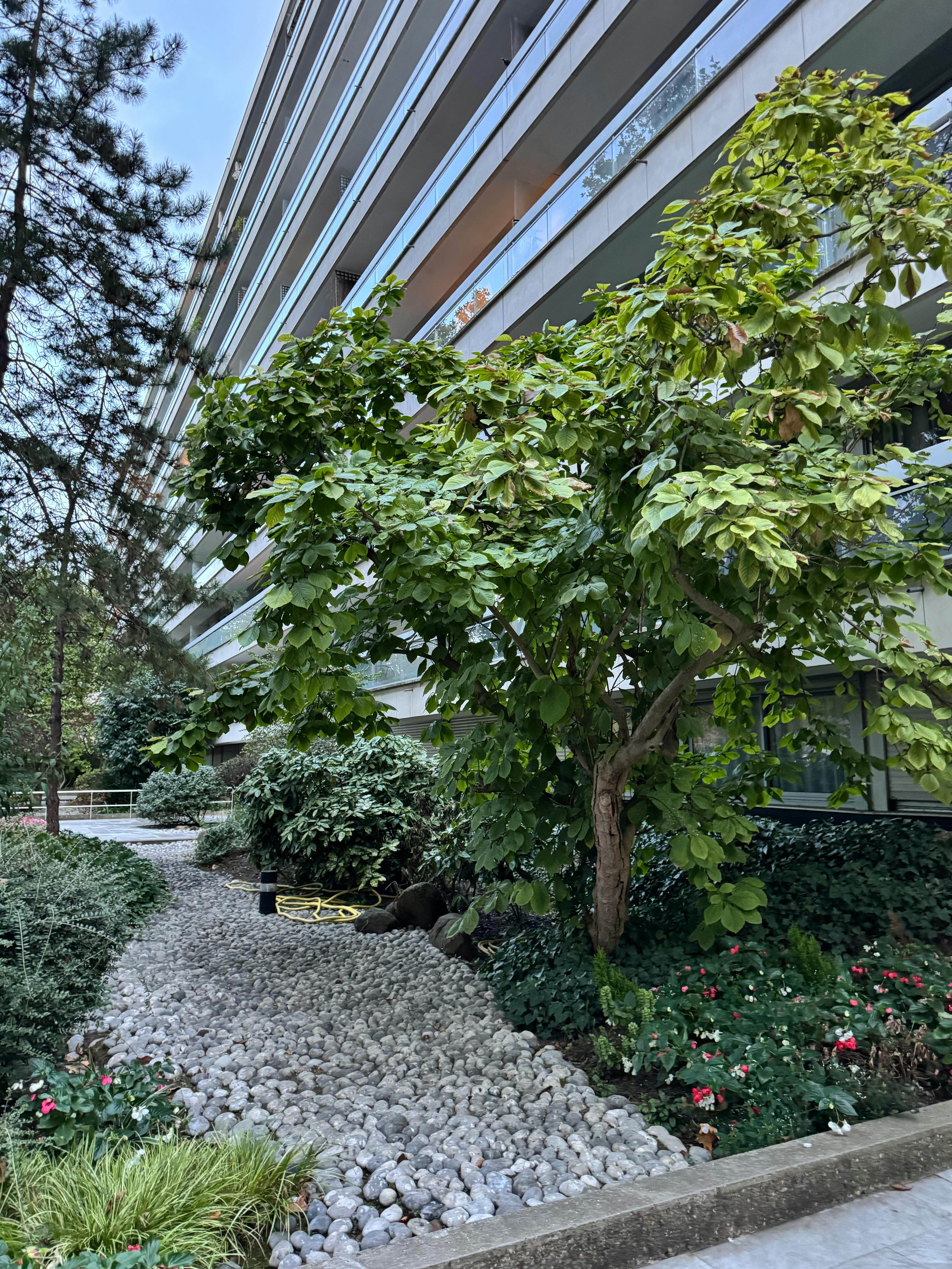 1-Bedroom Apartment in Boulevard du Général Leclerc, Neuilly-sur-Seine (1746350) ROOM 4