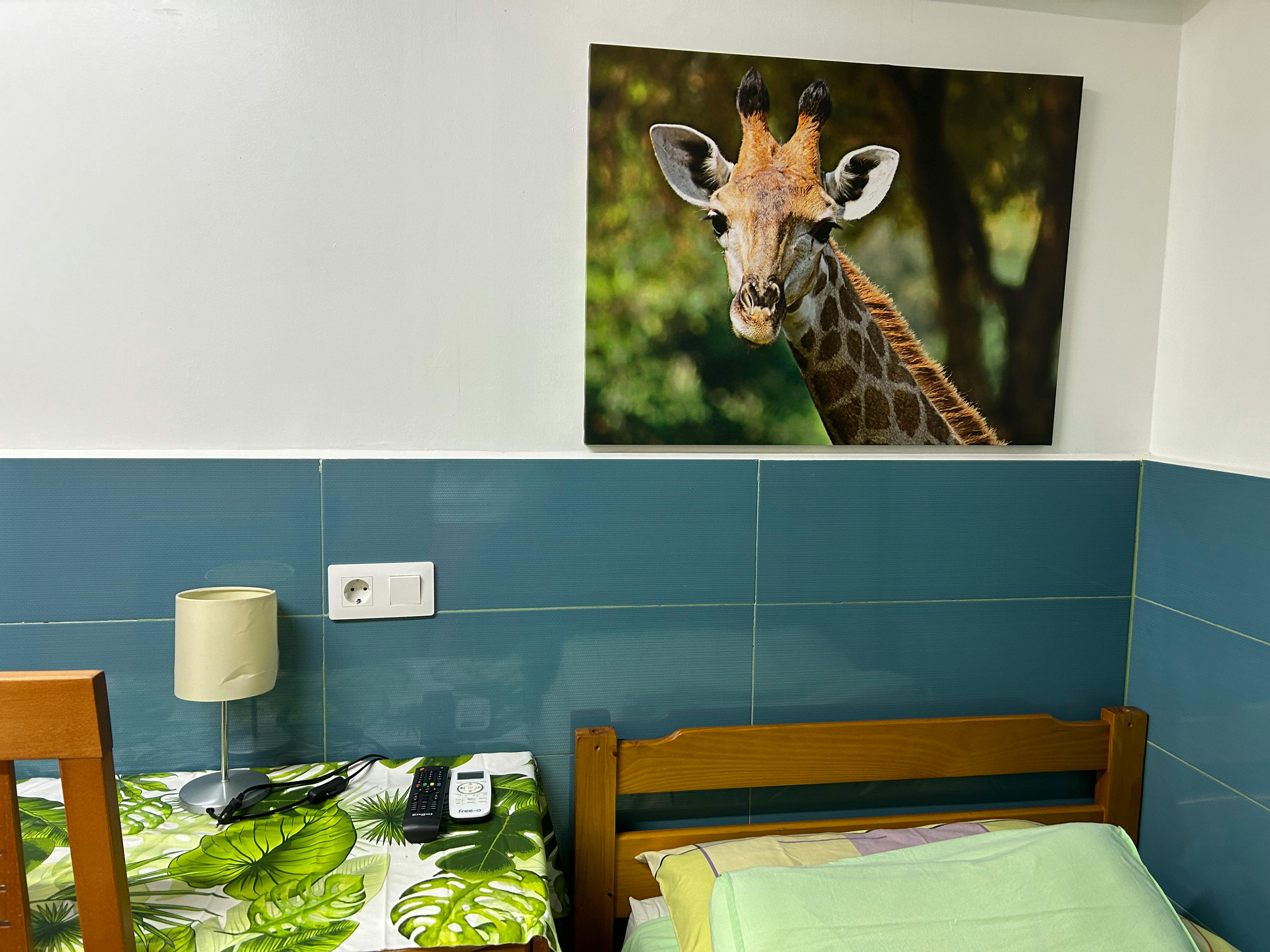 Apartment in Rambla de Badal, Barcelona (1746718) ROOM