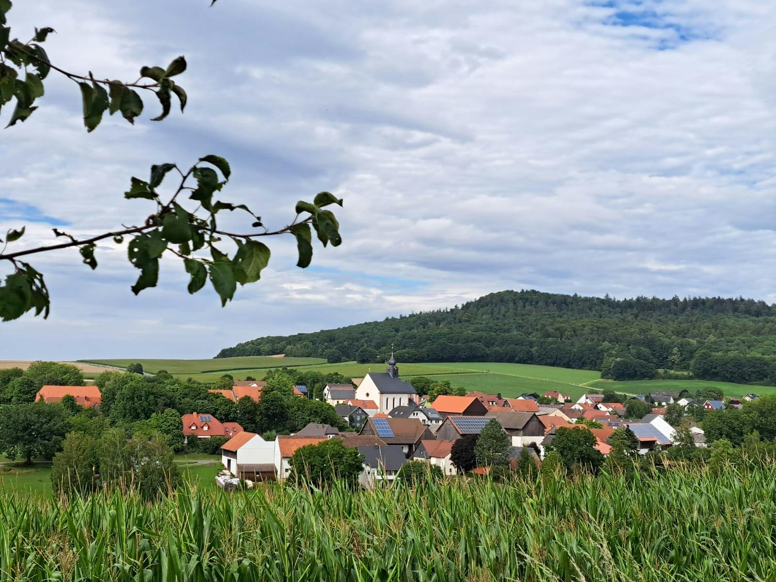 Laurentiusstraße