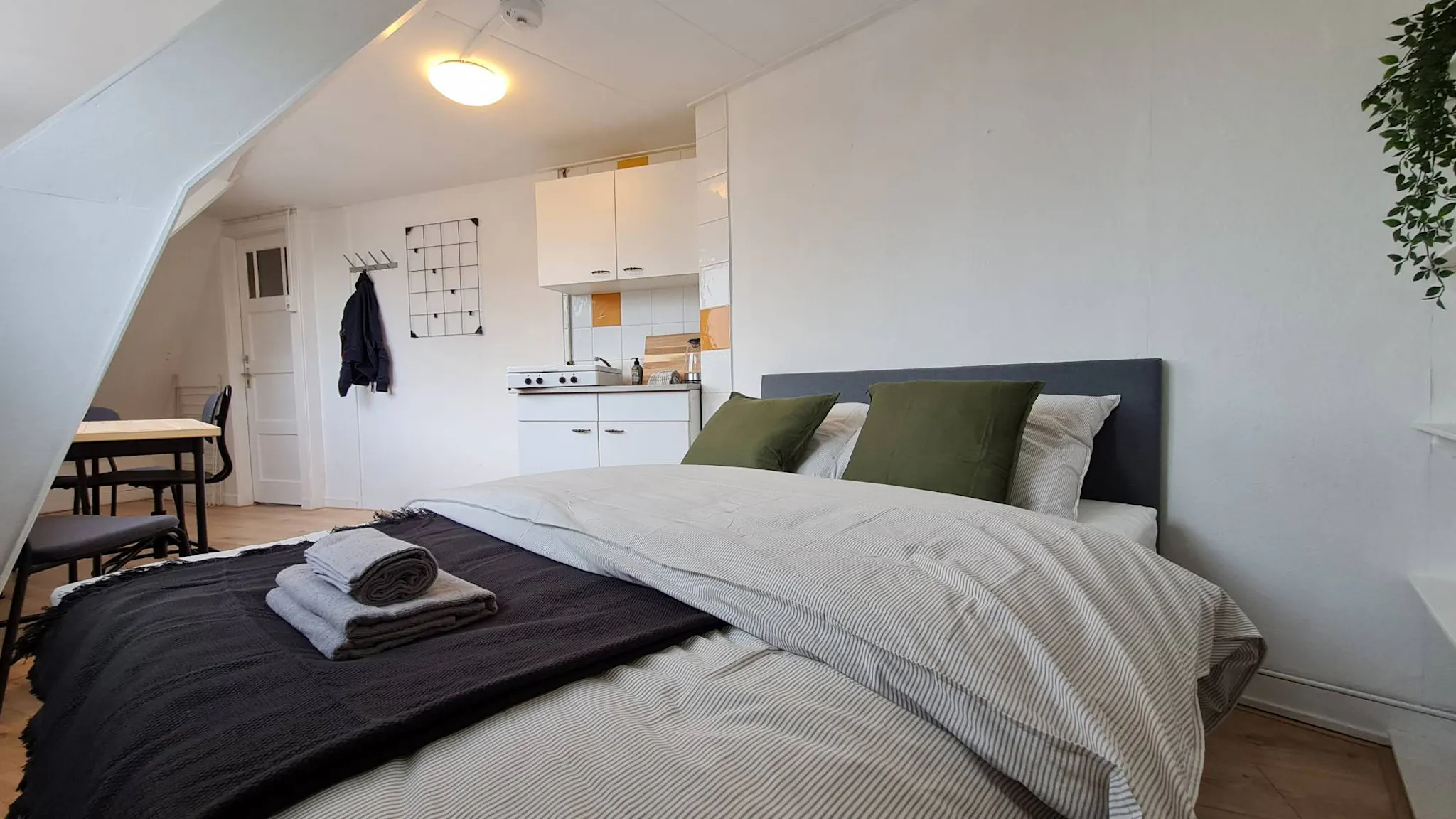 Rhijnvis Feithstraat, Utrecht preview
