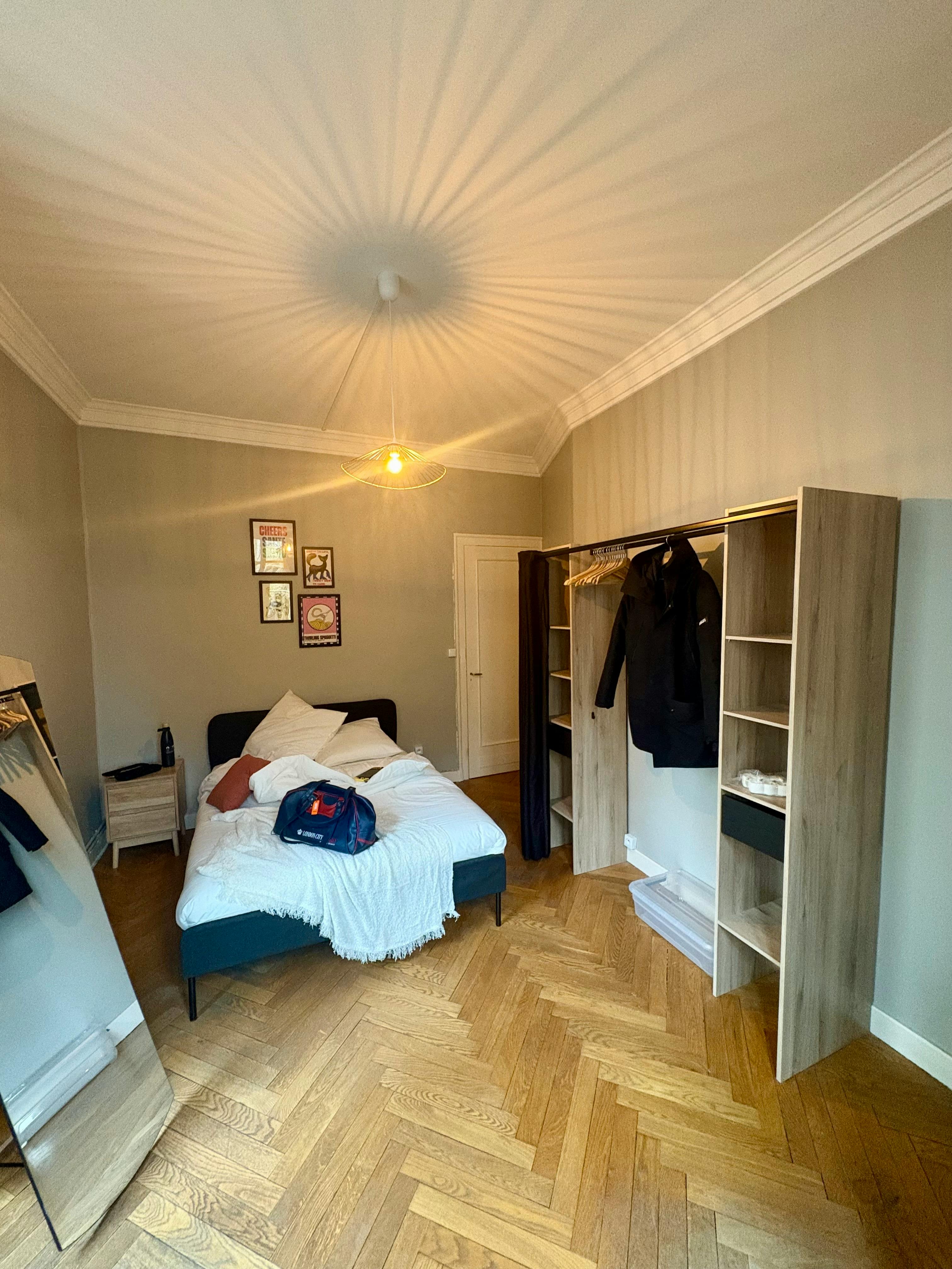 Private room in Avenue Félix Faure, Lyon (1747460) ROOM