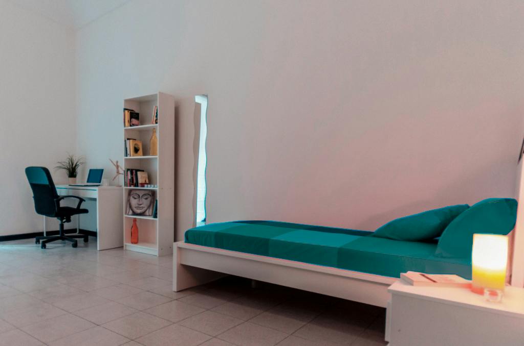 Private room in Via Alfonso Bonafous, Turin (1747630) room image 2