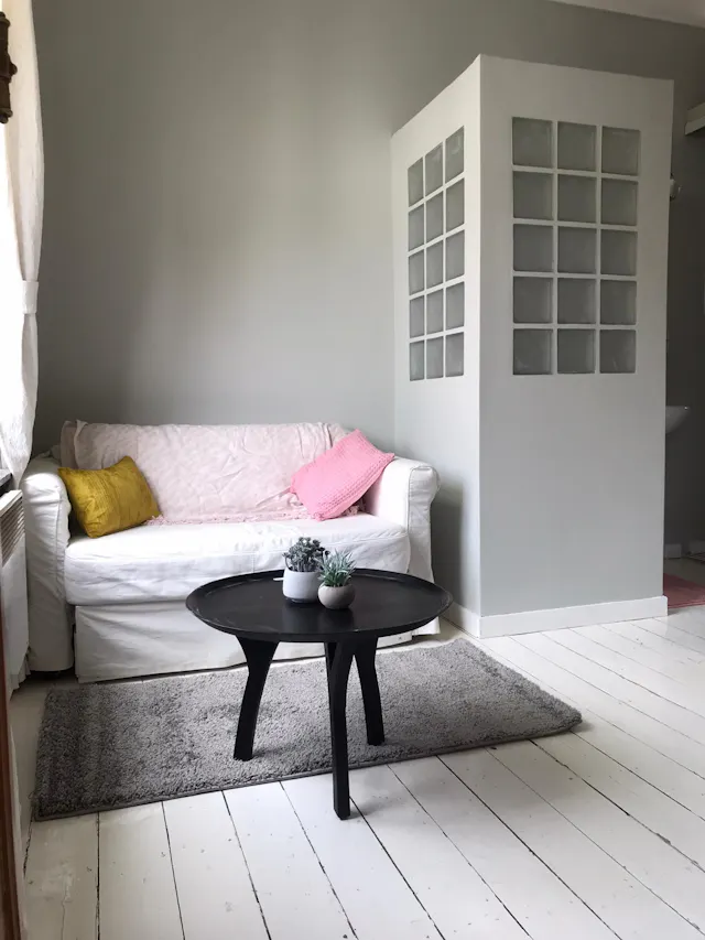 1-Bedroom Apartment in Rue Général Gratry, Schaerbeek (1747657) room image 1