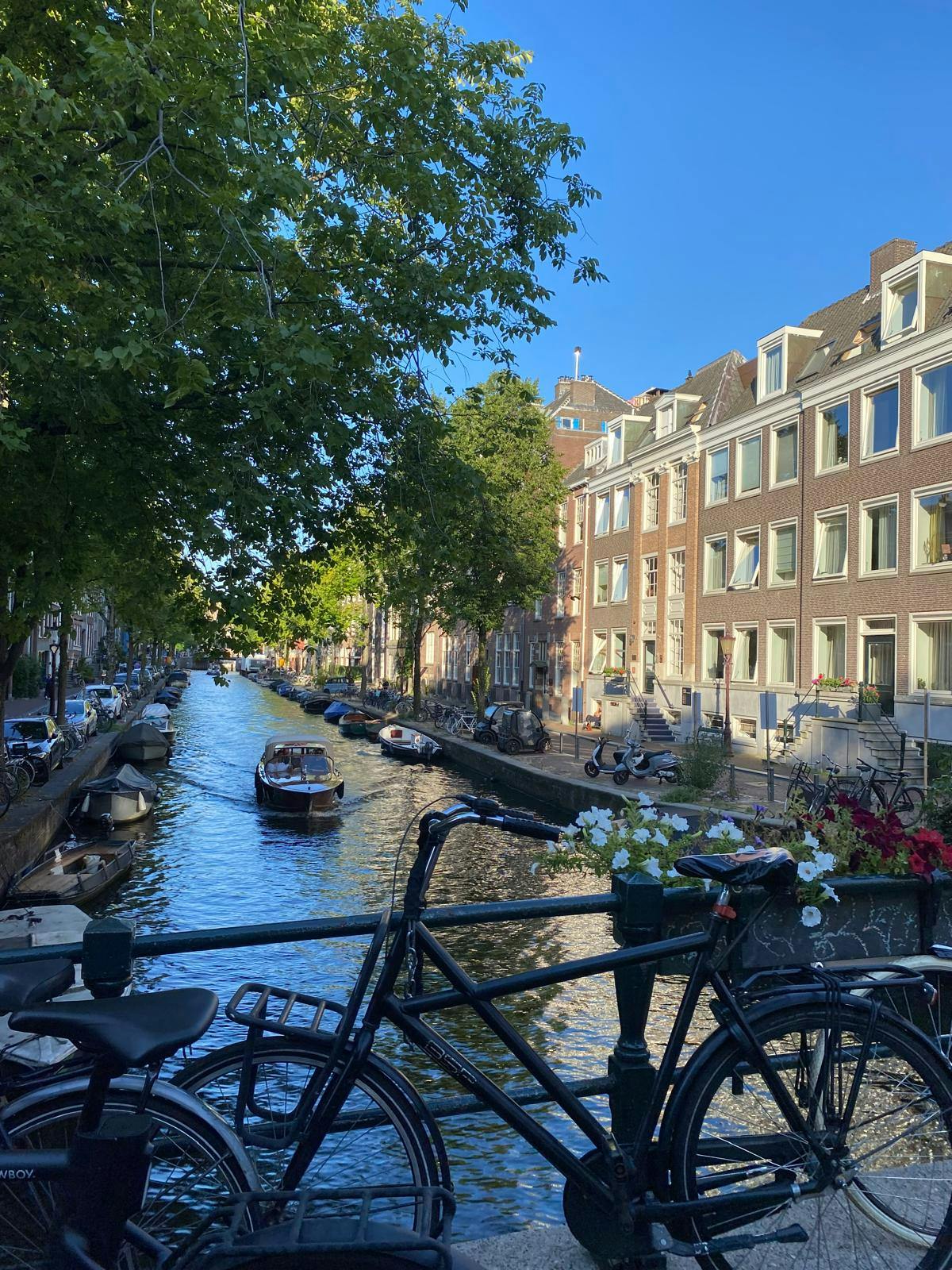 1-Bedroom Apartment in Lauriergracht, Amsterdam (1747787) ROOM 3