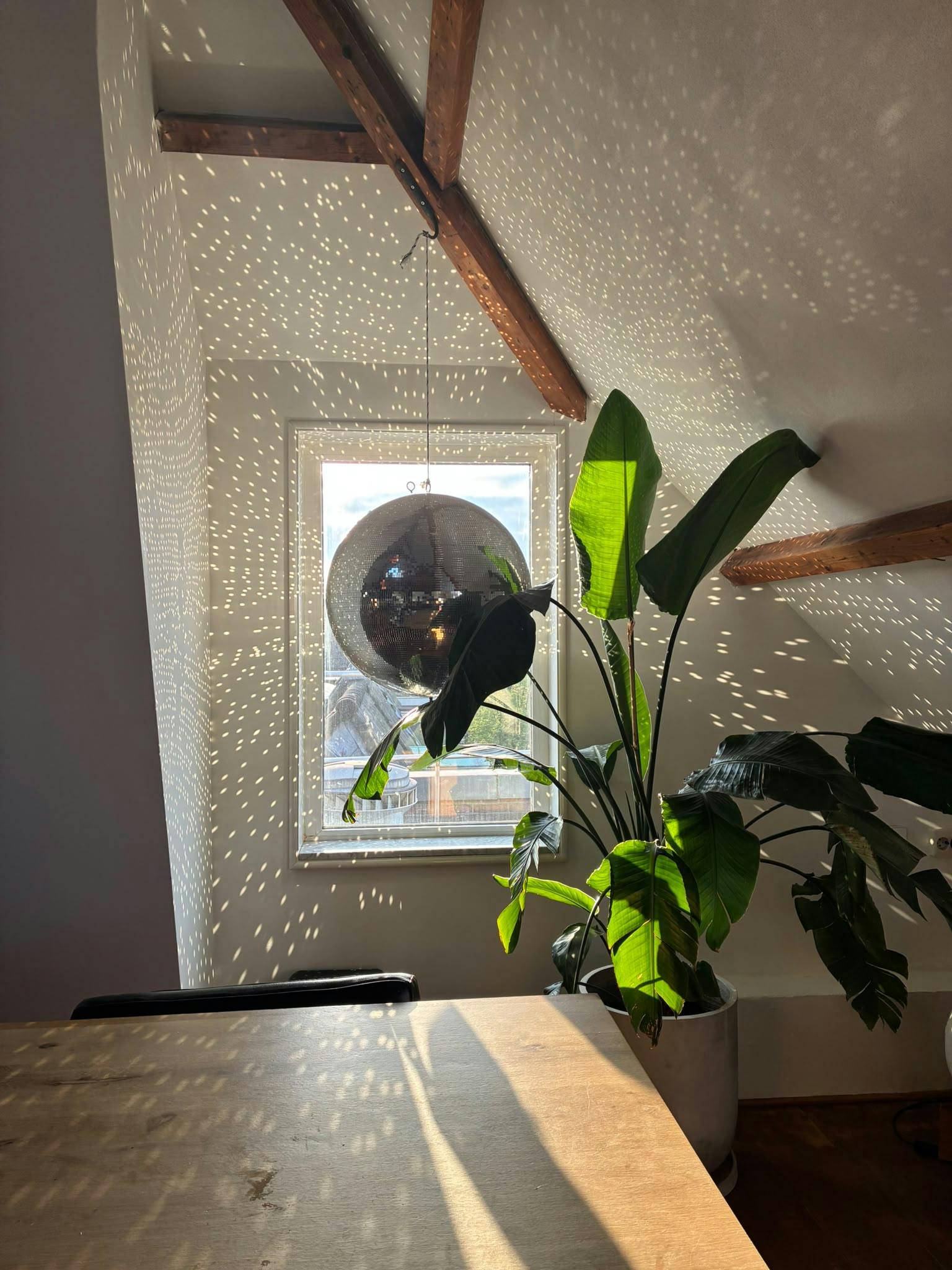 1-Bedroom Apartment in Lauriergracht, Amsterdam (1747787) ROOM 1
