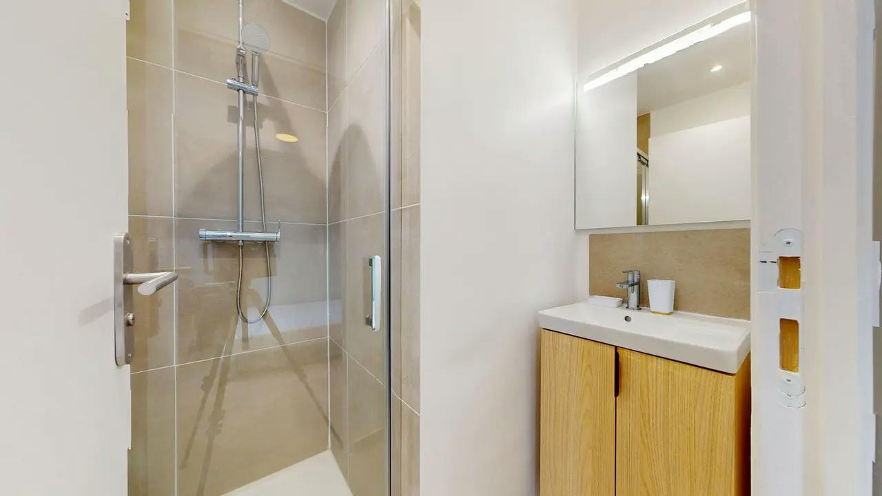 Private room in Rue Feuillat, Lyon (1747958) COMMON_AREA 4