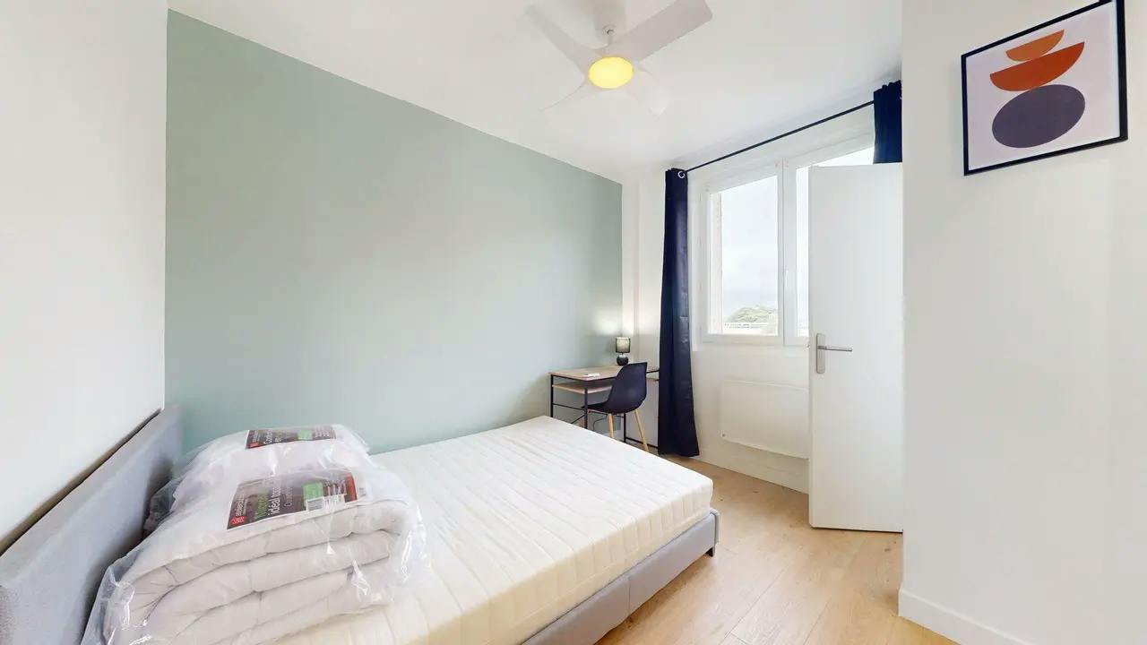 Private room in Rue Feuillat, Lyon (1747958) ROOM 3