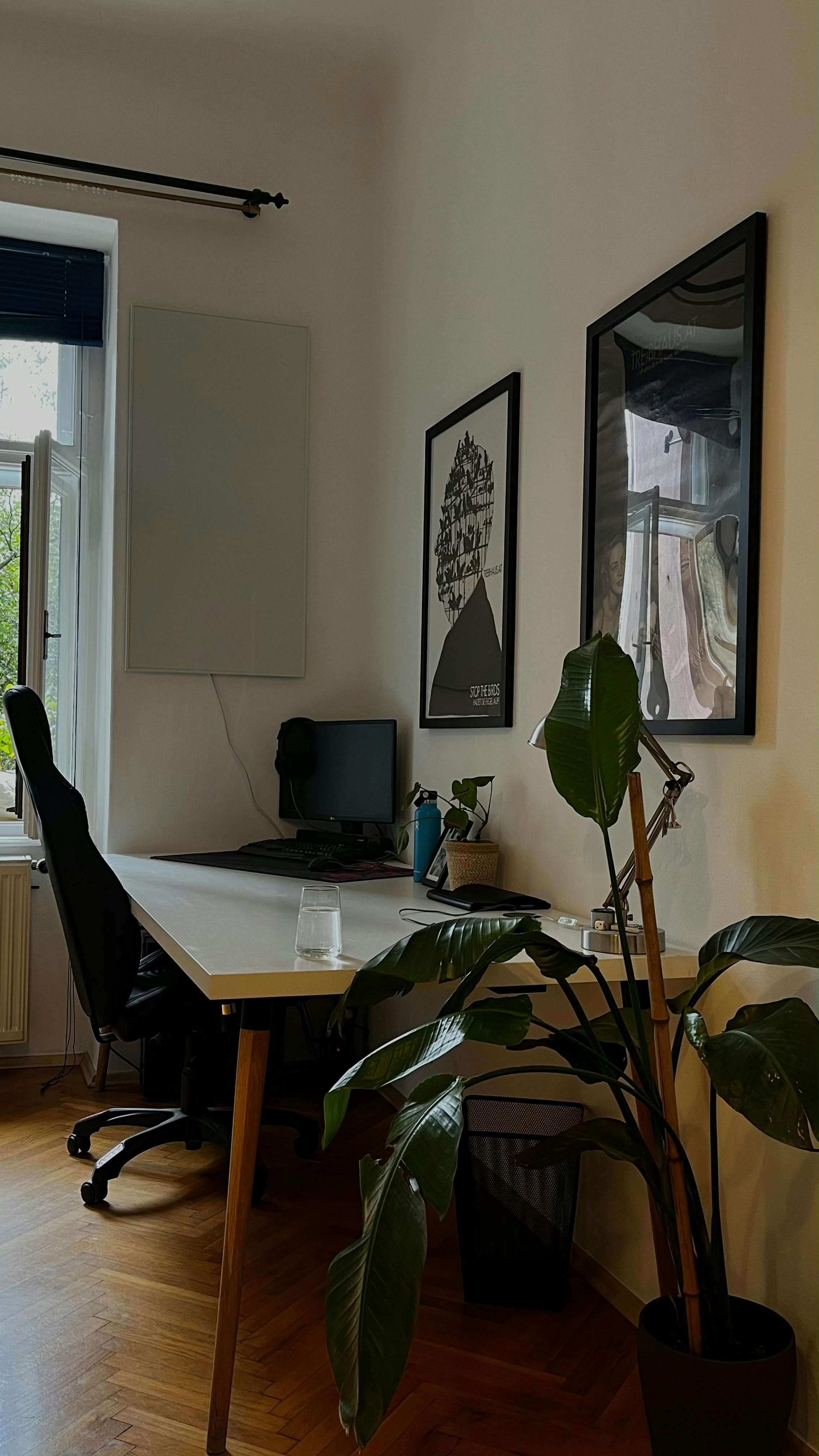 Chambre privée à louer pour 550 €/mois à Graz, Plüddemanngasse