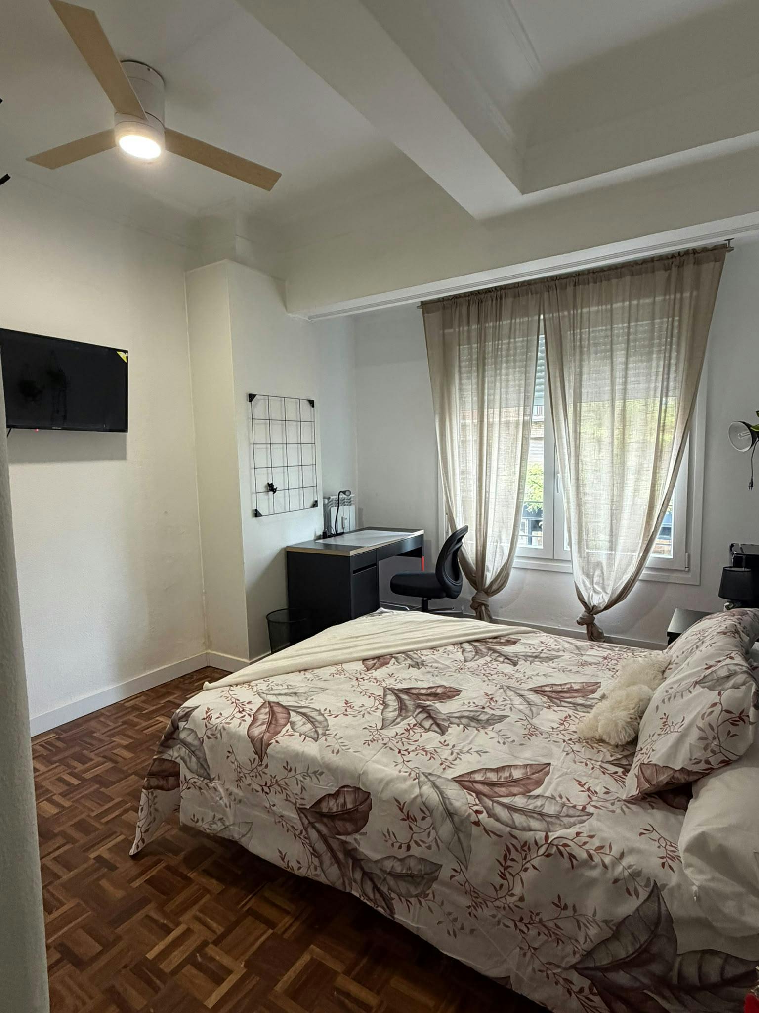 Private room for rent for €460 per month in Zaragoza, Paseo Gran Vía