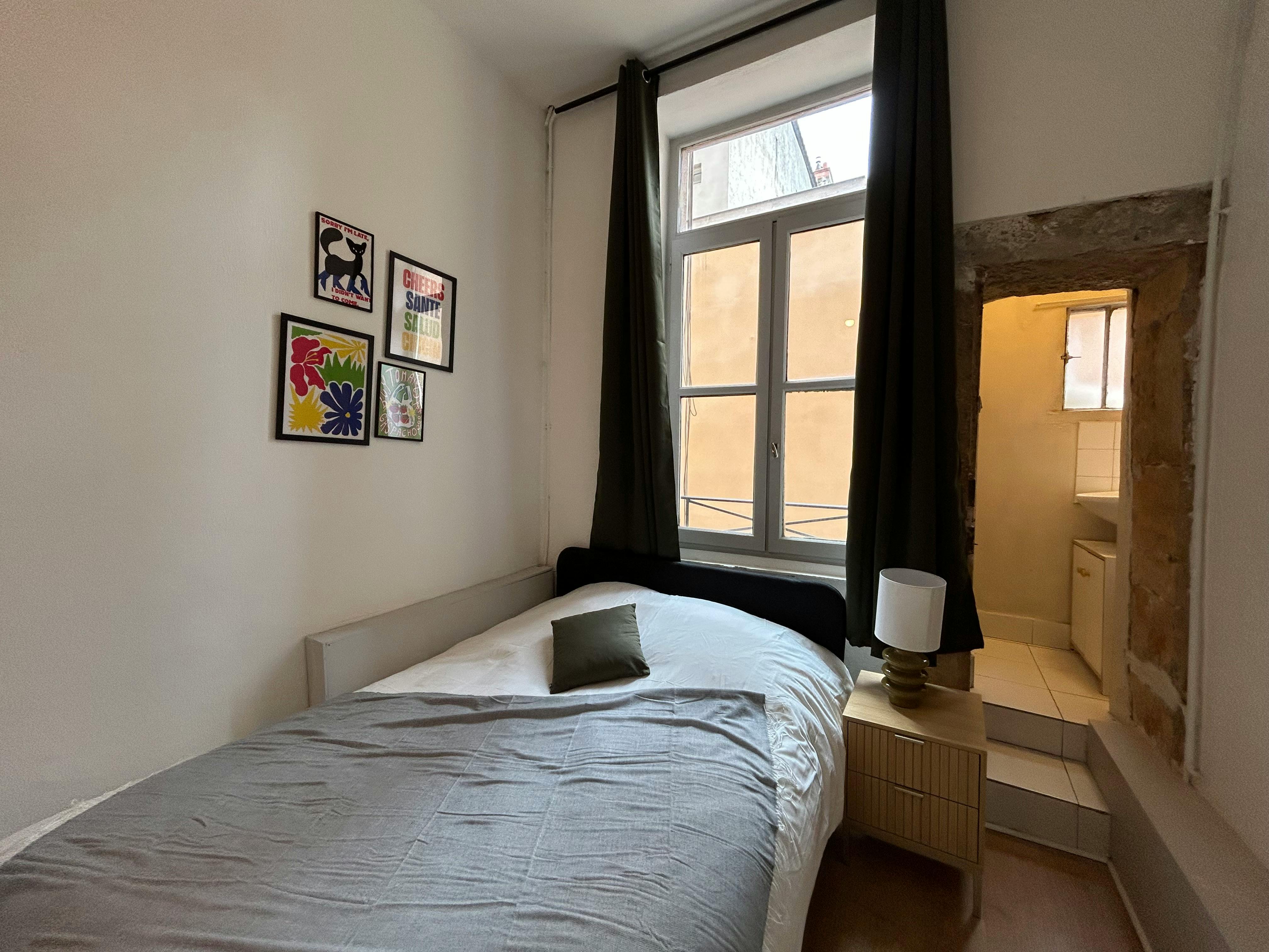 Private room for rent on Rue Burdeau, Lyon