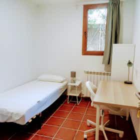 WG-Zimmer zu mieten für 690 € pro Monat in Cerdanyola del Vallès, Carrer d'Alonso Cano
