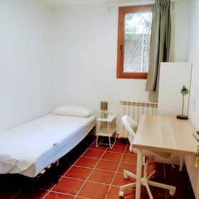 Habitación privada for rent for 690 € per month in Cerdanyola del Vallès, Carrer d'Alonso Cano