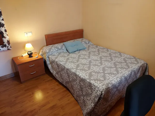Private room in Paseo de San Vicente, Salamanca (495501) room image 1